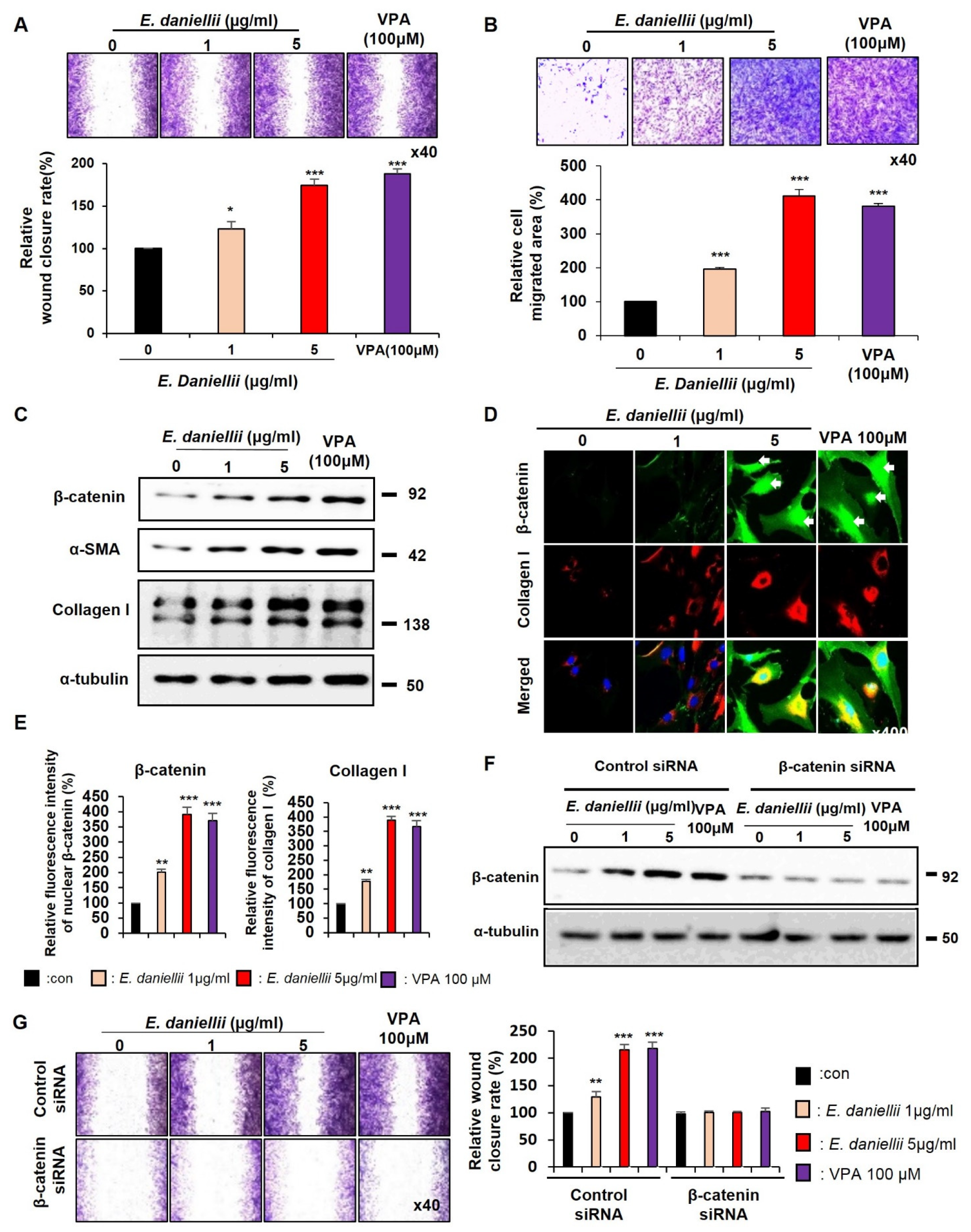 Molecules 27 07134 g002