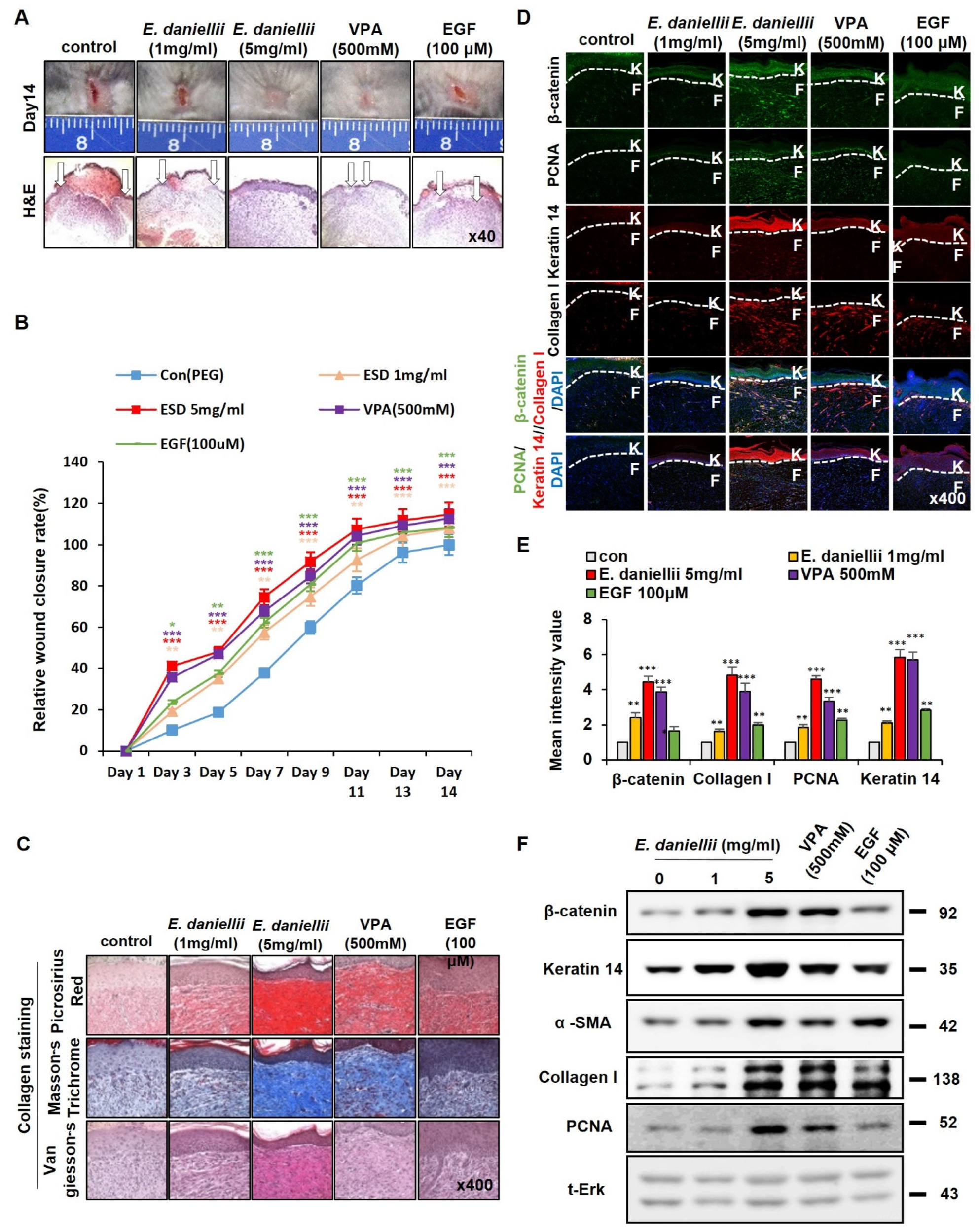 Molecules 27 07134 g003