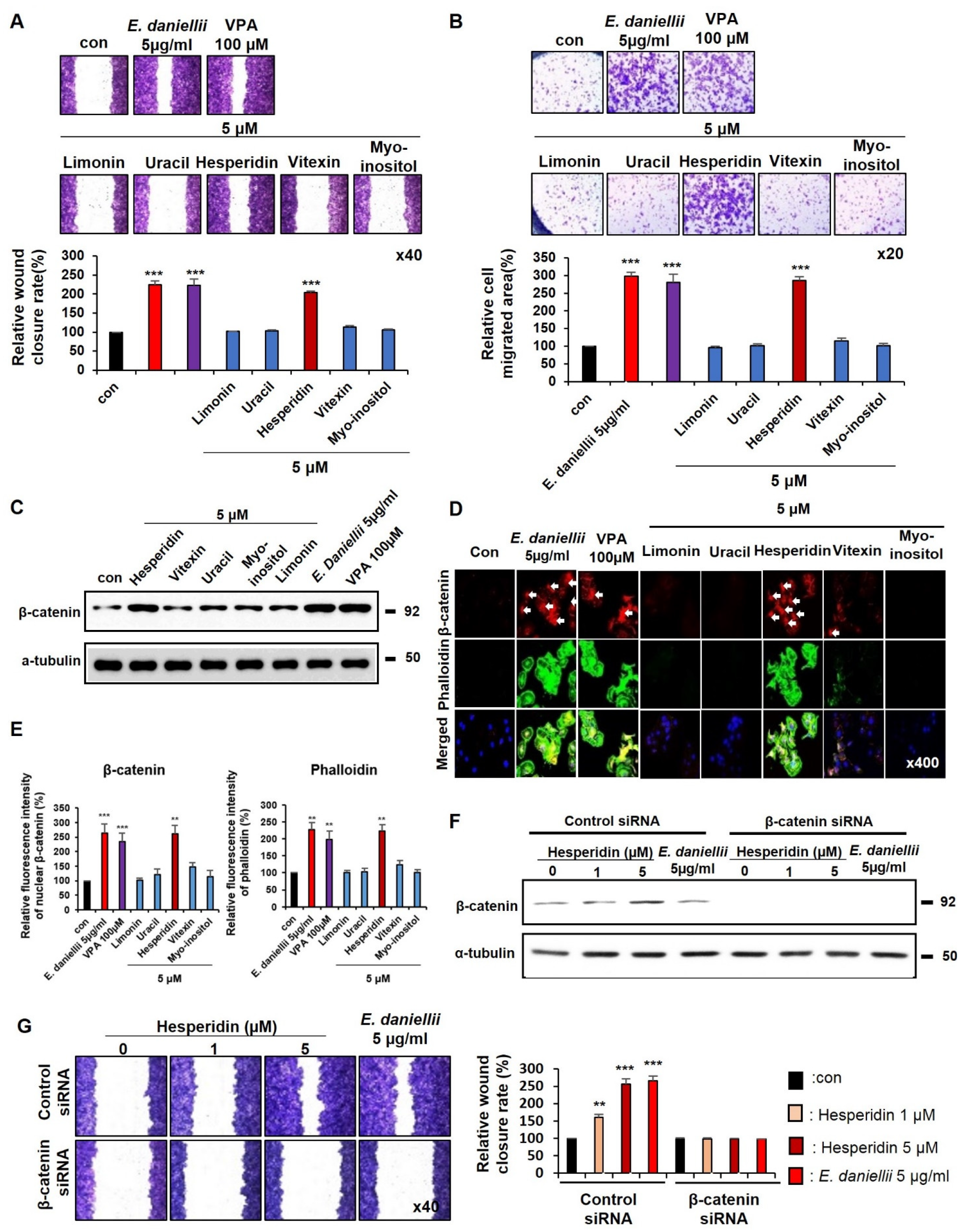 Molecules 27 07134 g004