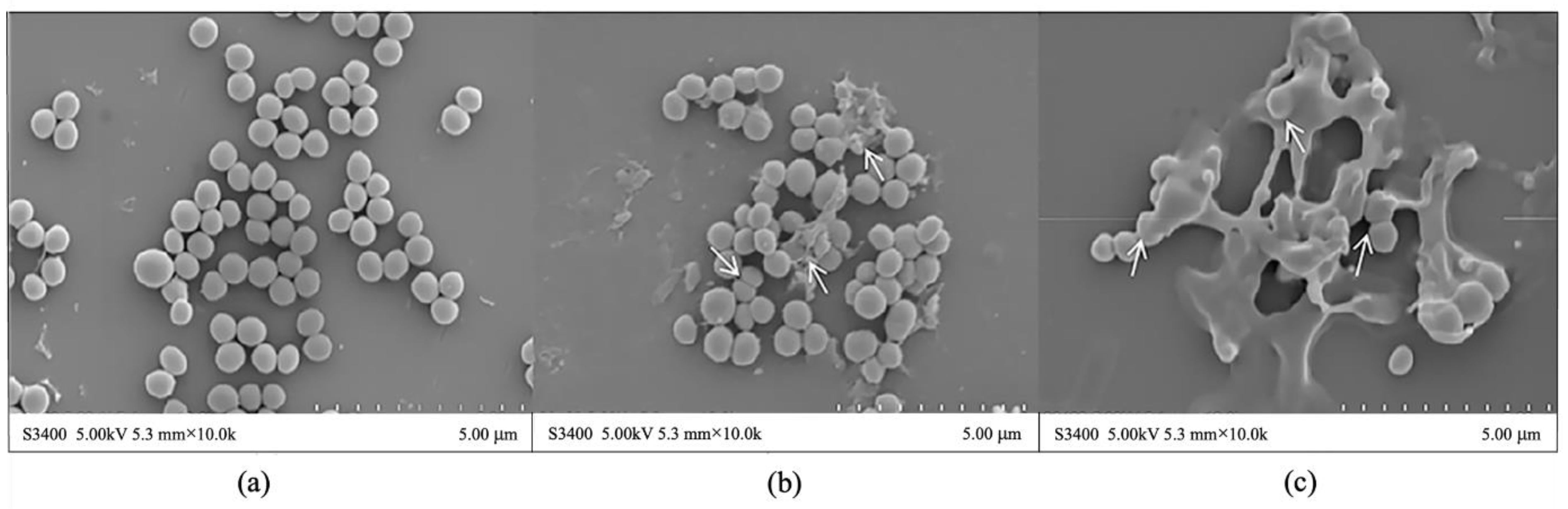 Molecules 27 07136 g003