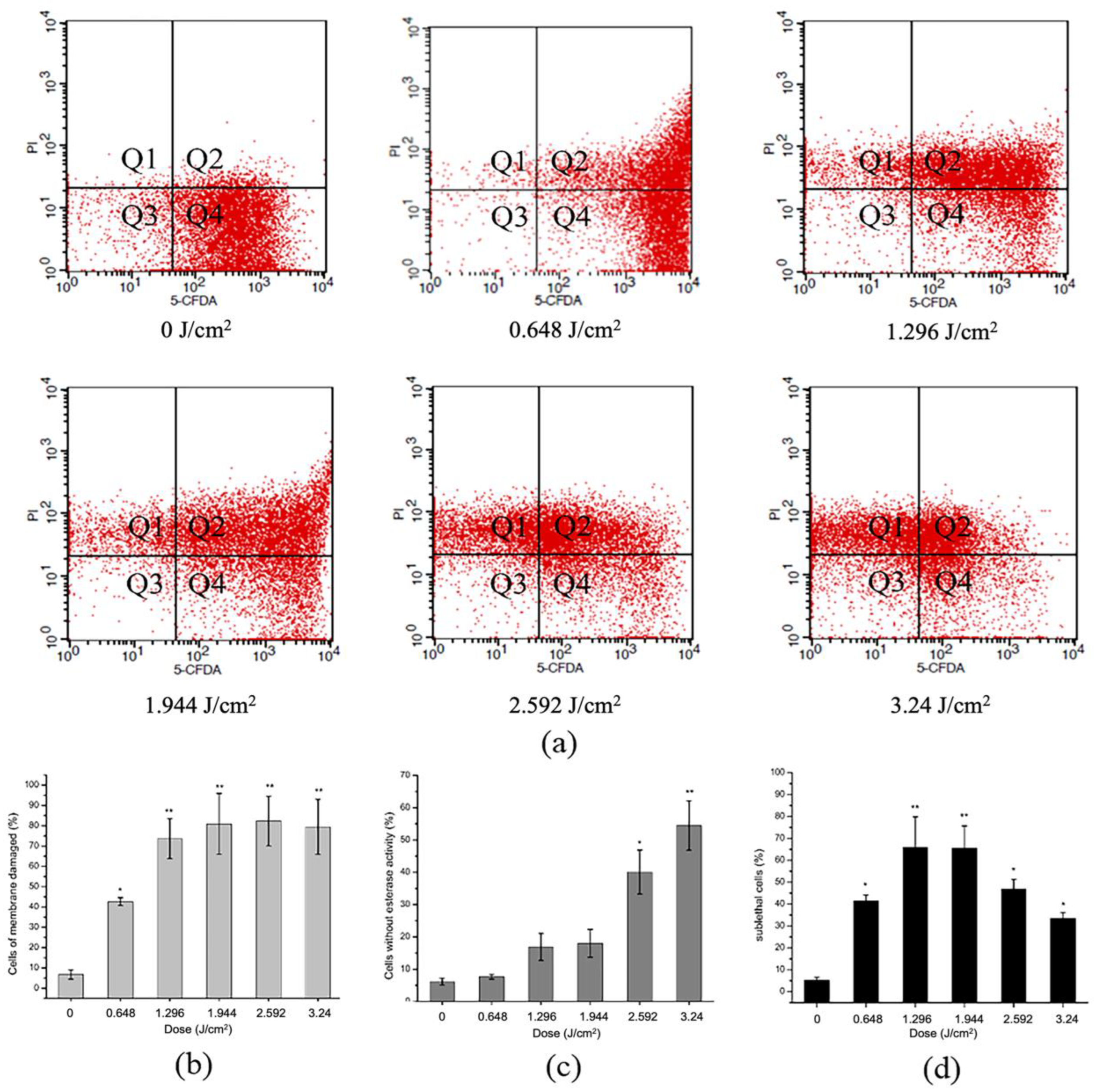 Molecules 27 07136 g005
