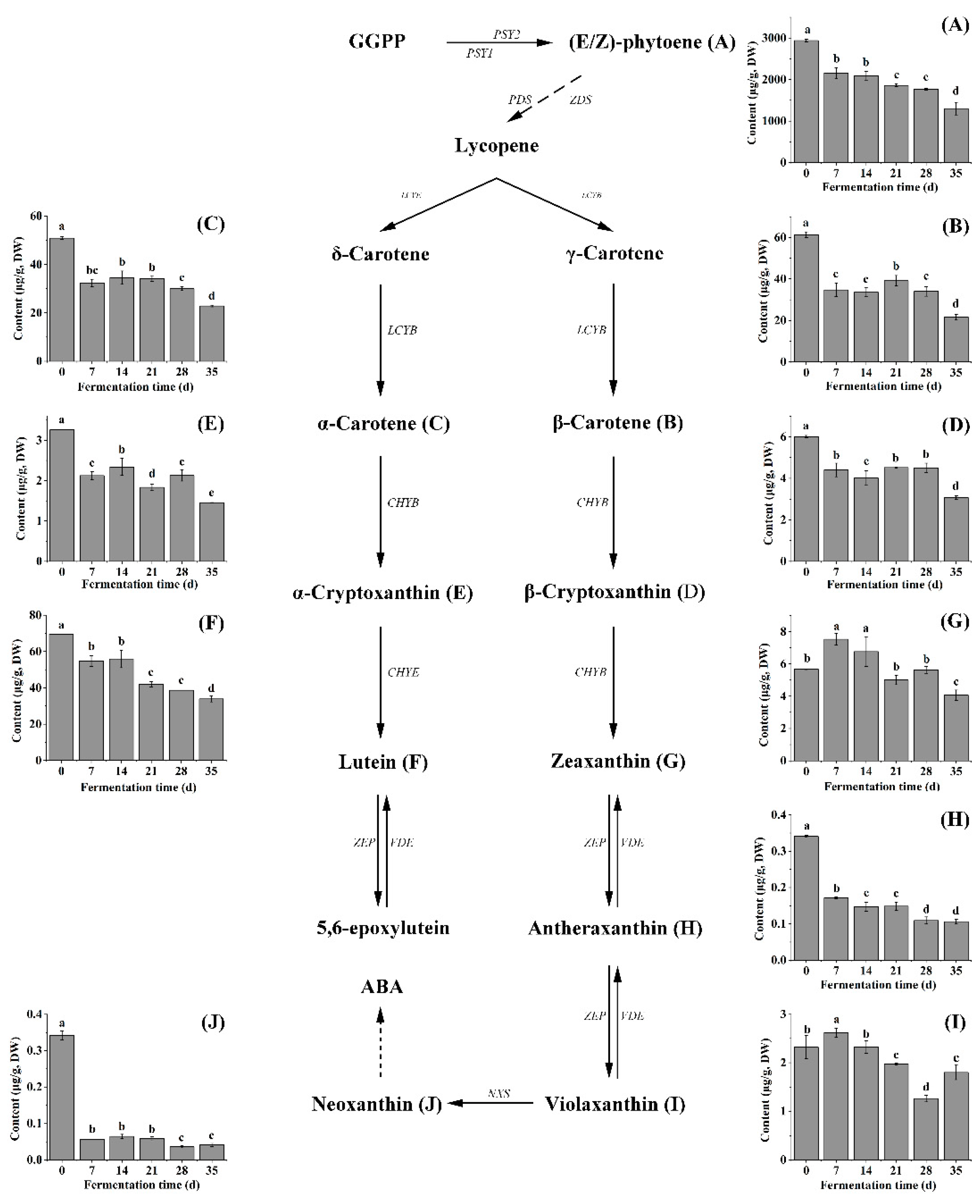 Molecules 27 07139 g001 Molecules 27 07139 g001