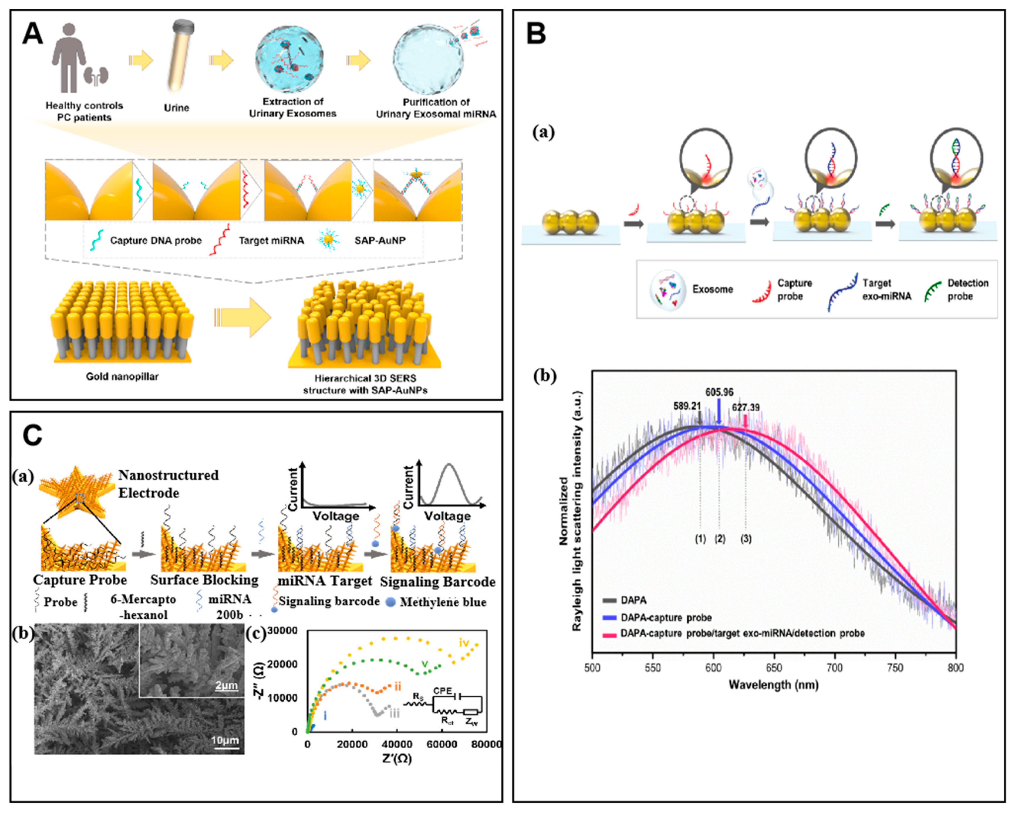 Molecules 27 07145 g005