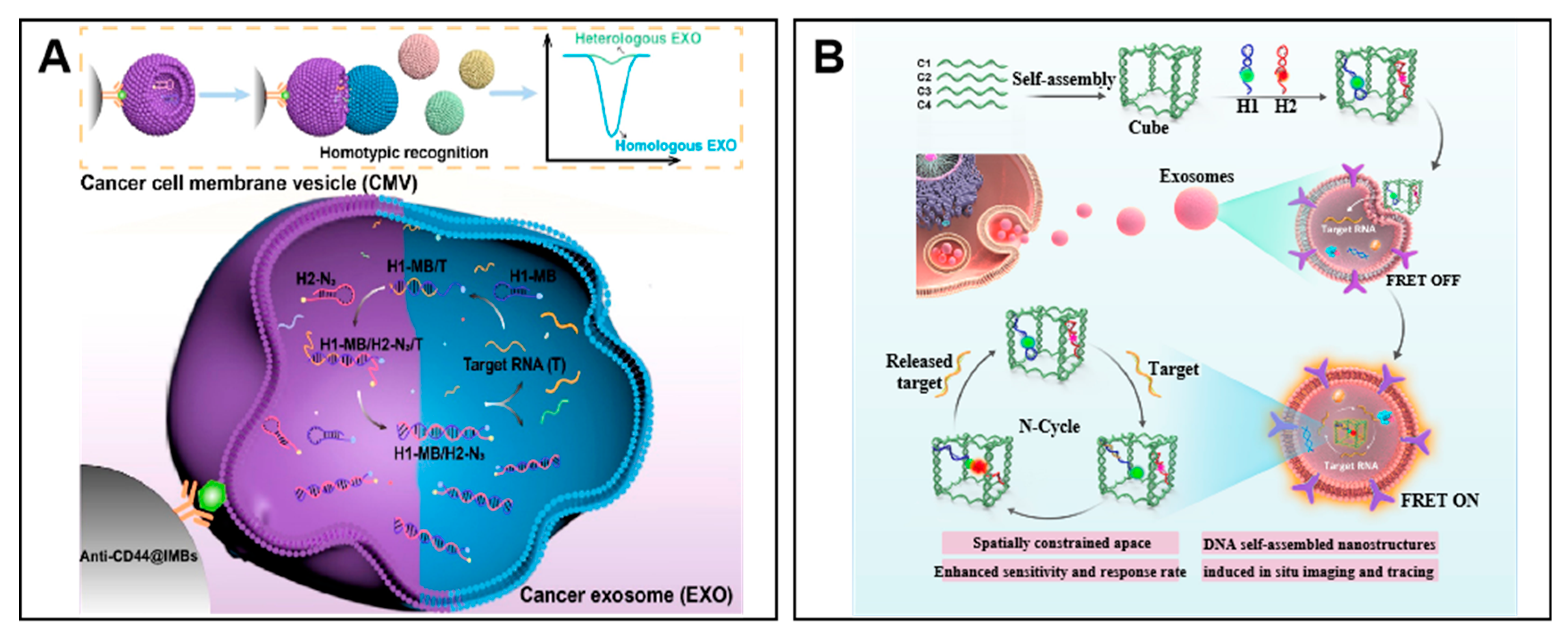 Molecules 27 07145 g006
