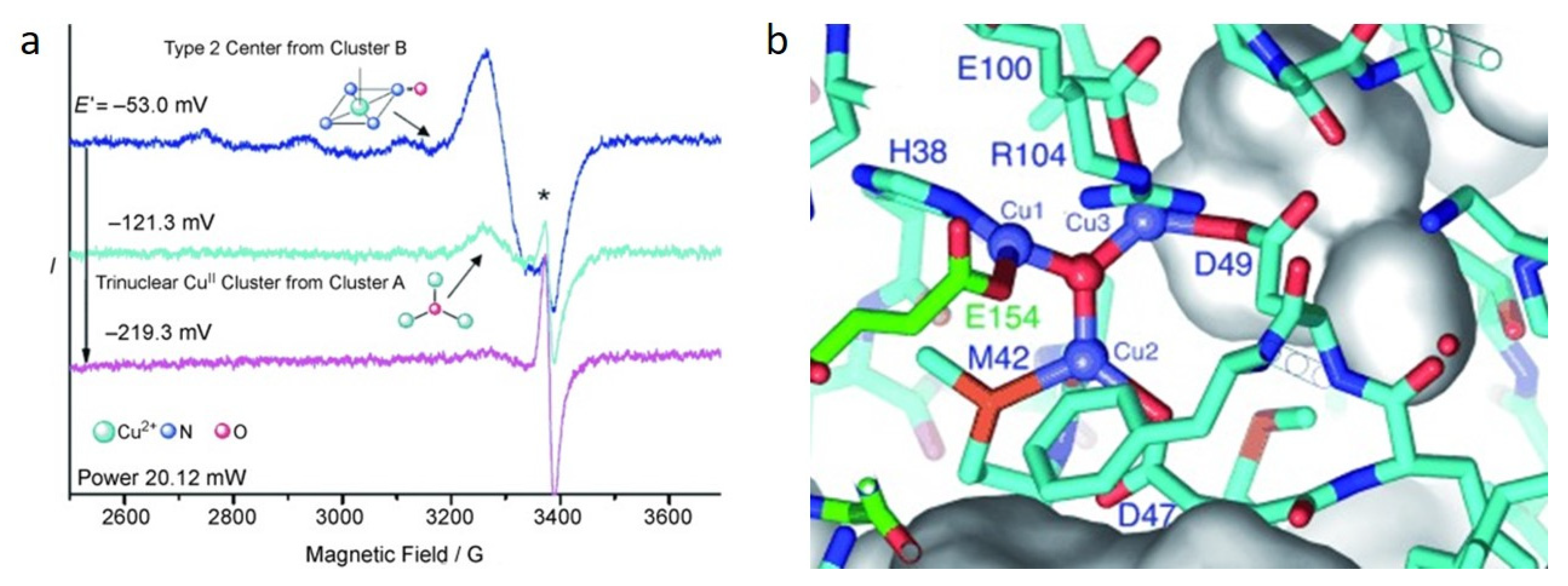 Molecules 27 07146 g001 Molecules 27 07146 g001