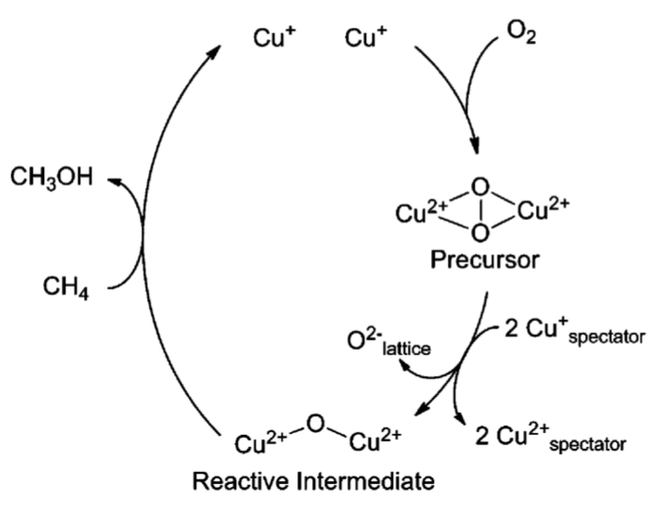 Molecules 27 07146 g004 Molecules 27 07146 g004