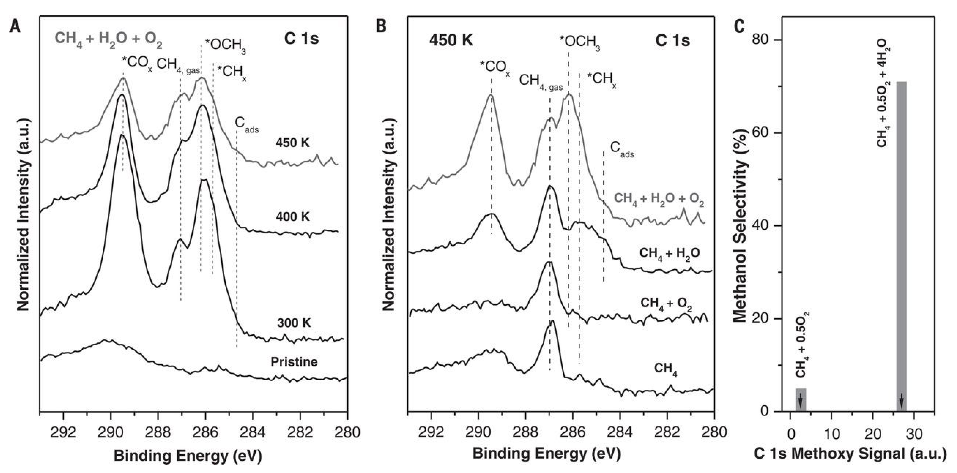 Molecules 27 07146 g011 Molecules 27 07146 g011