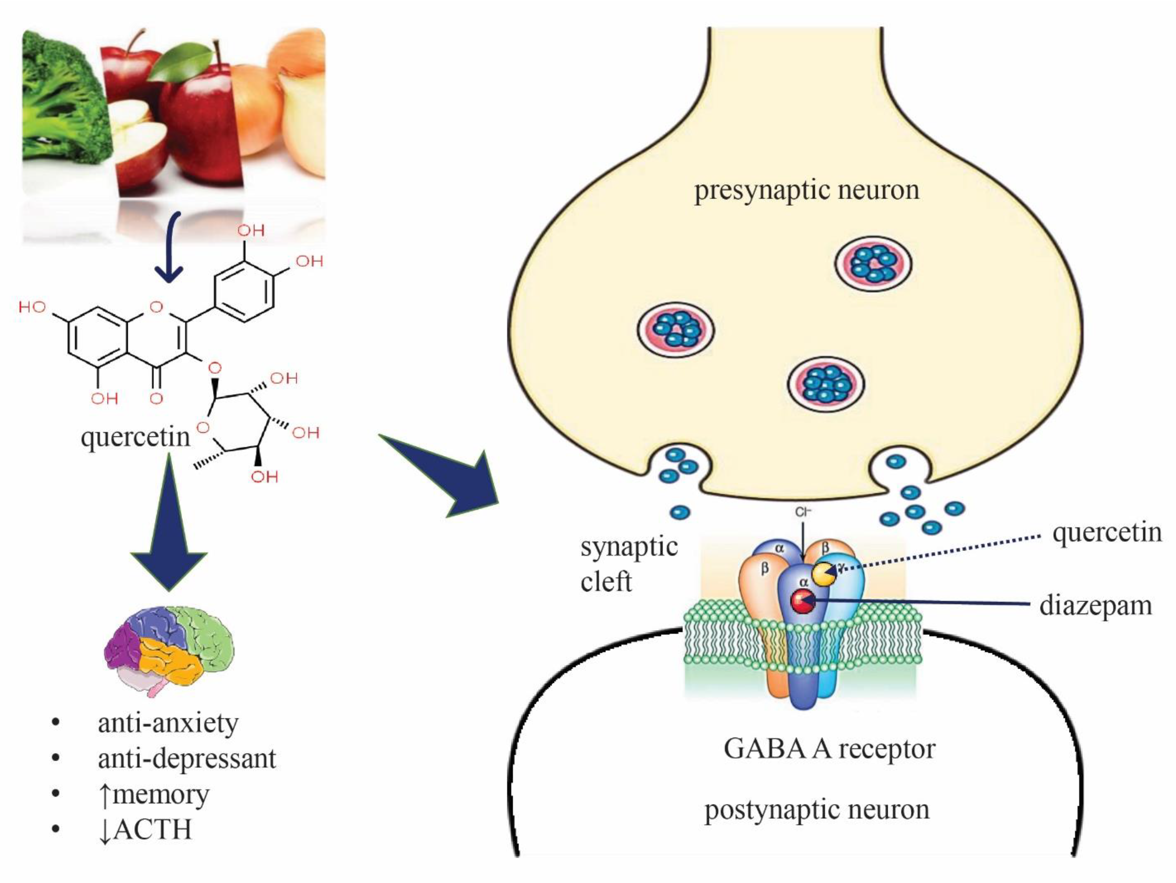 Molecules 27 07149 g007