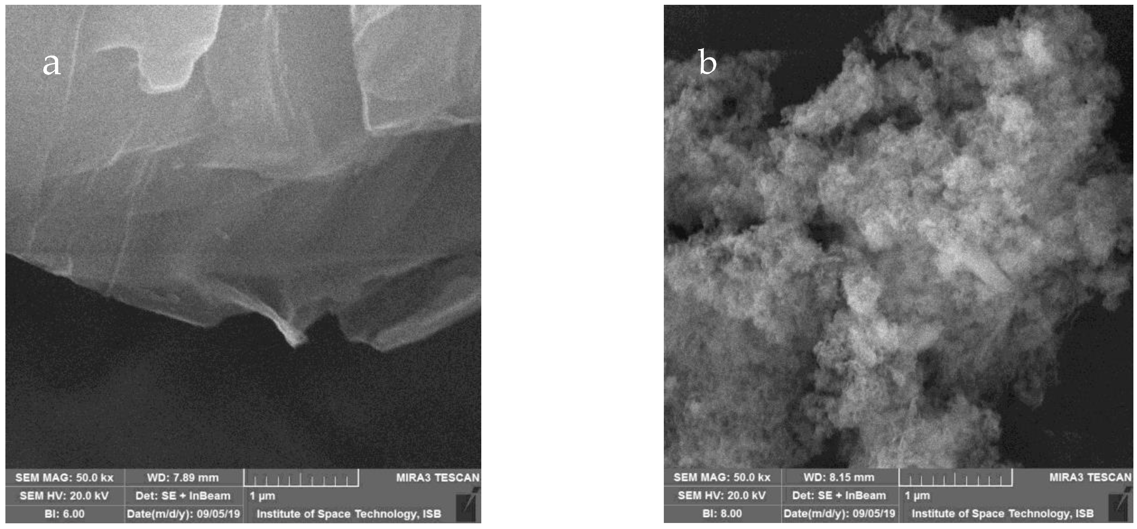 Molecules 27 07152 g002 Molecules 27 07152 g002