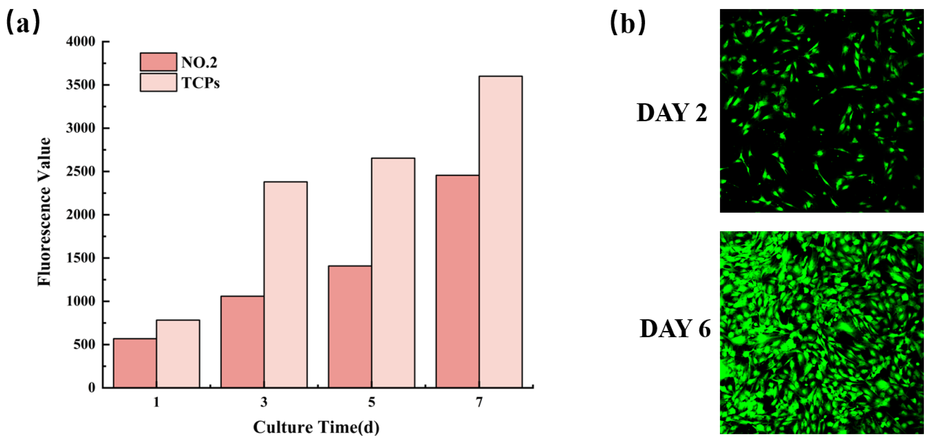 Molecules 27 07158 g008