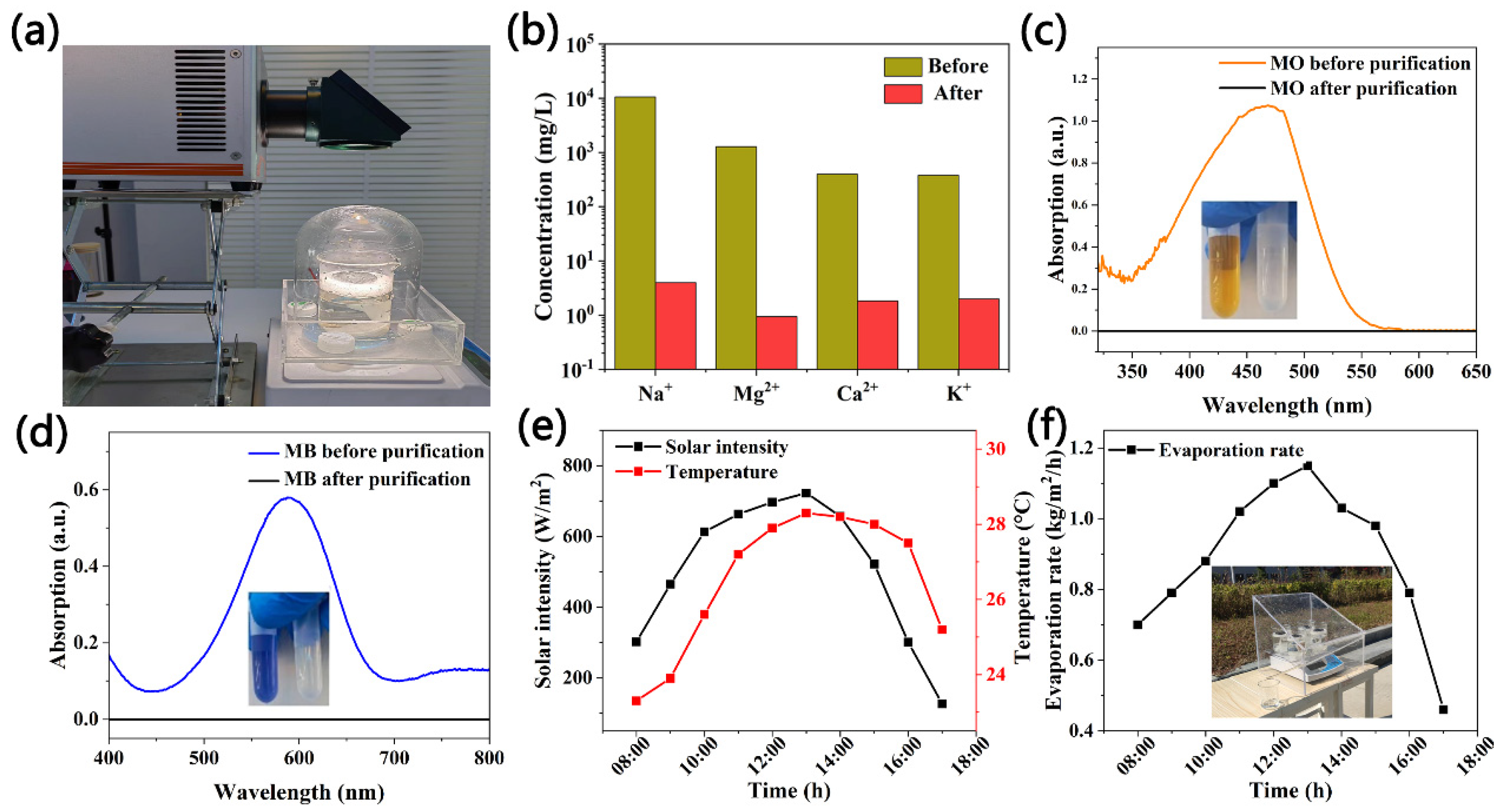 Molecules 27 07163 g004