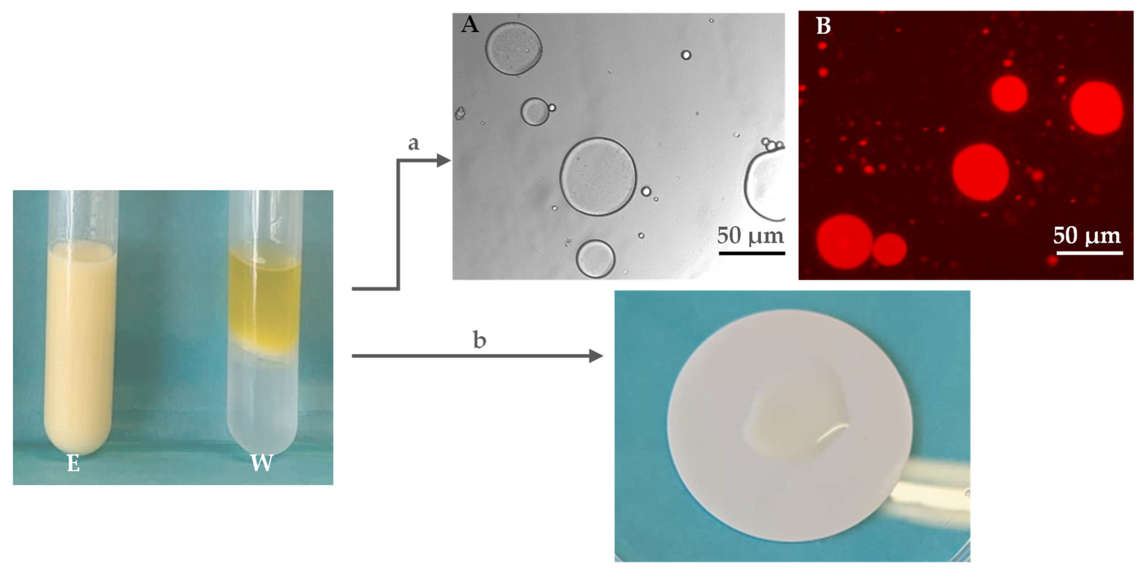 Molecules 27 07165 g006 Molecules 27 07165 g006
