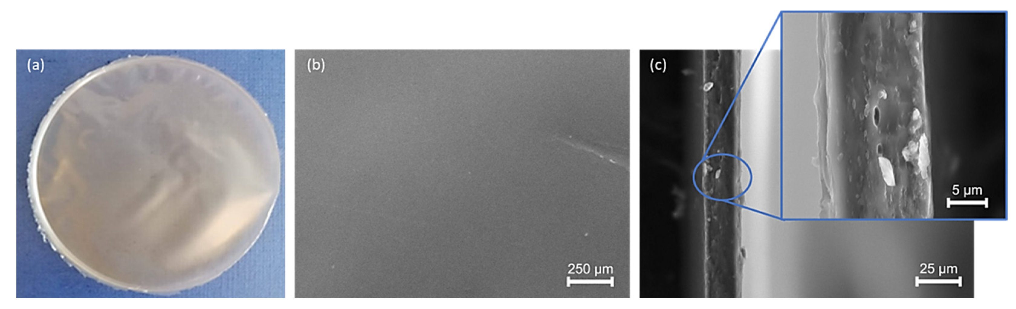 Molecules 27 07165 g008 Molecules 27 07165 g008