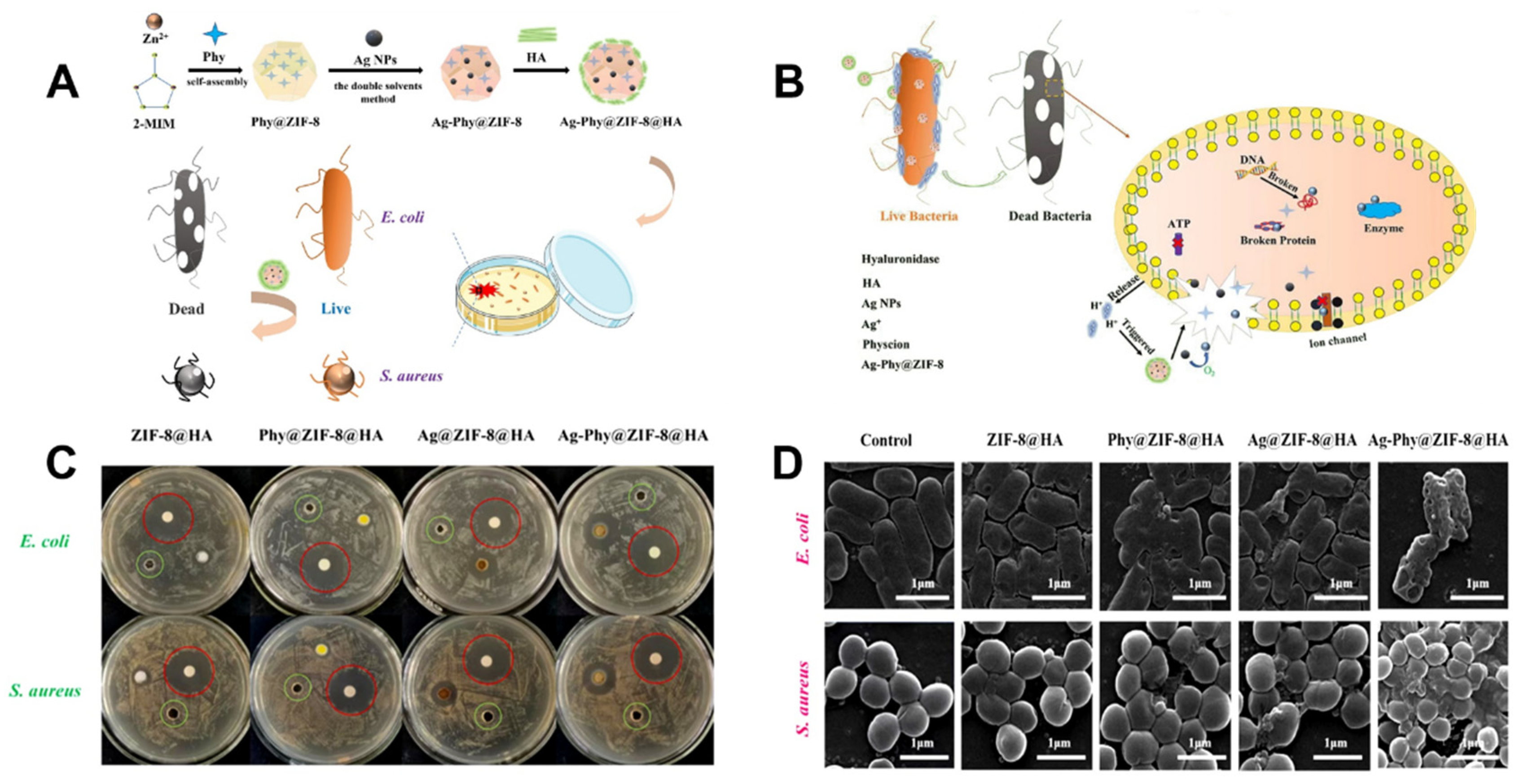 Molecules 27 07166 g005 Molecules 27 07166 g005