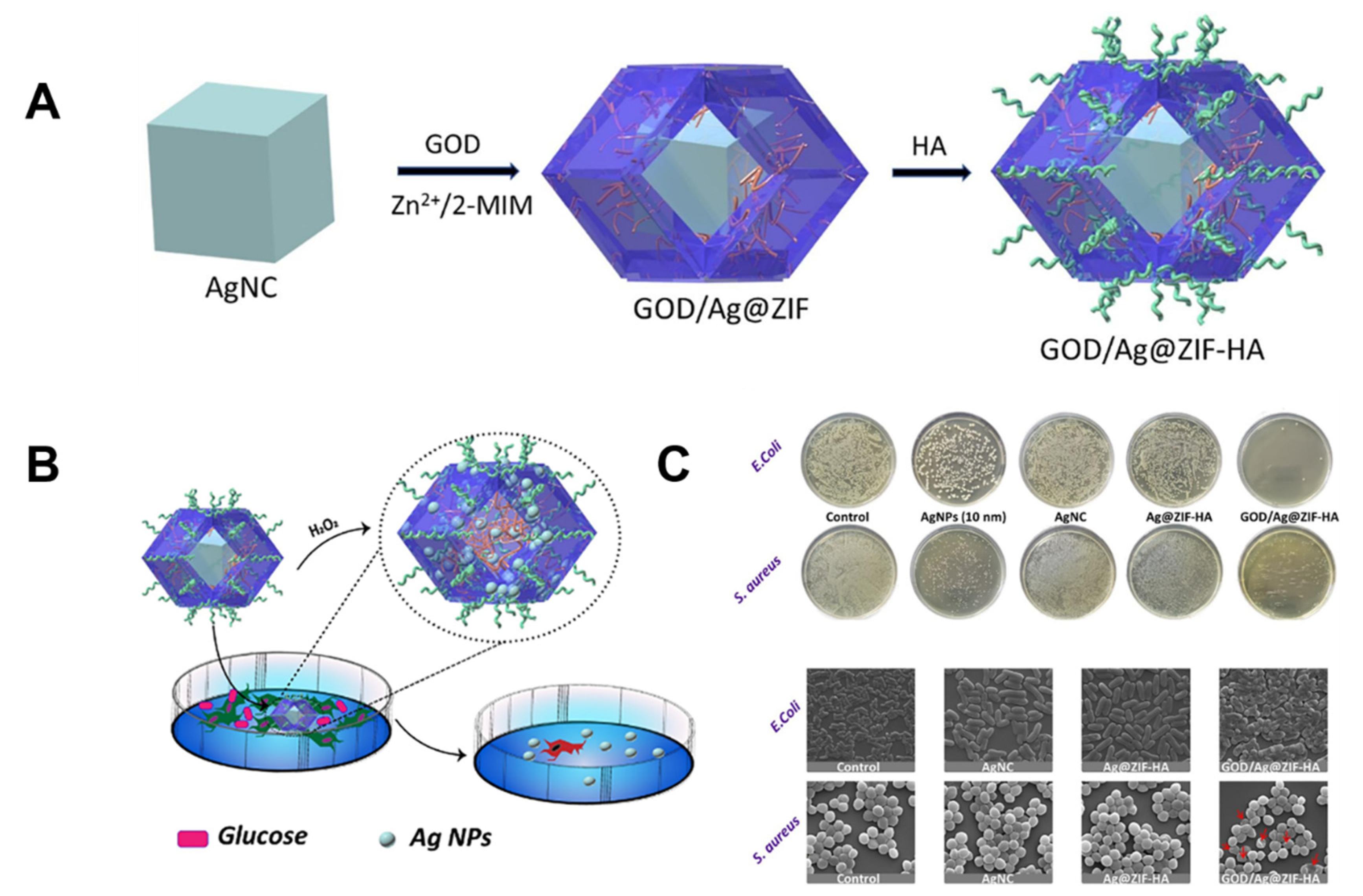 Molecules 27 07166 g006 Molecules 27 07166 g006