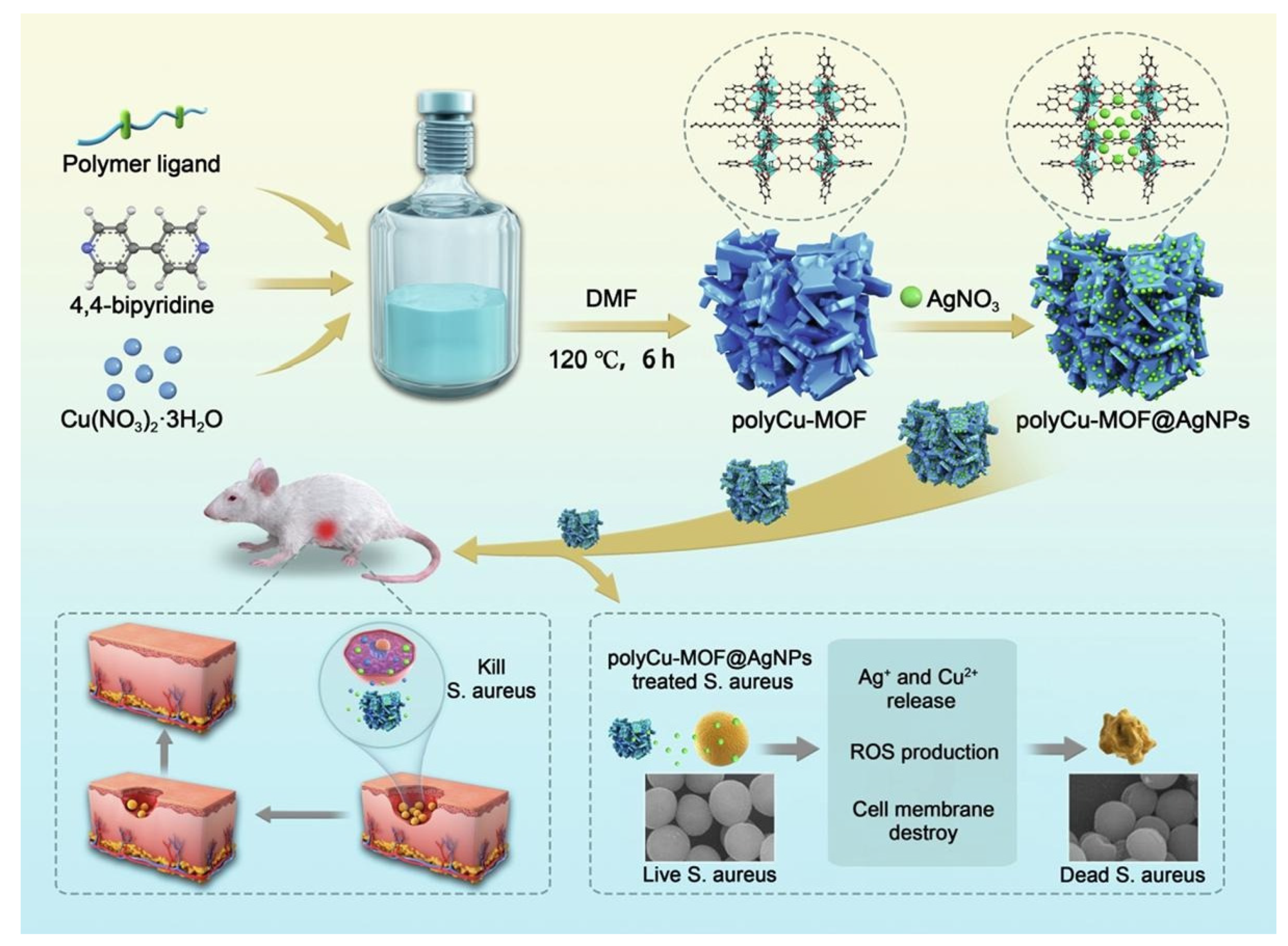 Molecules 27 07166 g007 Molecules 27 07166 g007