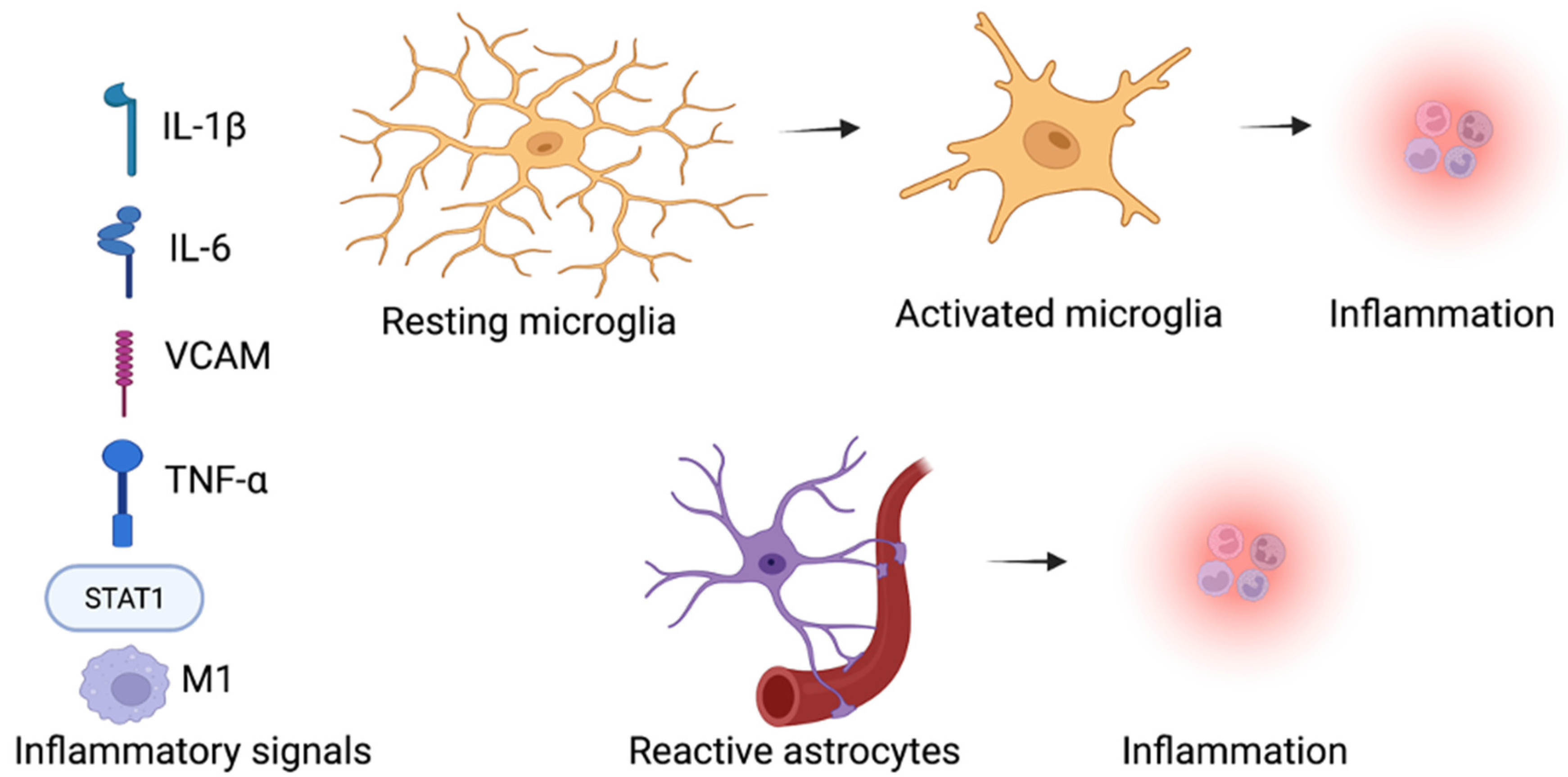 Molecules 27 07174 g002 Molecules 27 07174 g002
