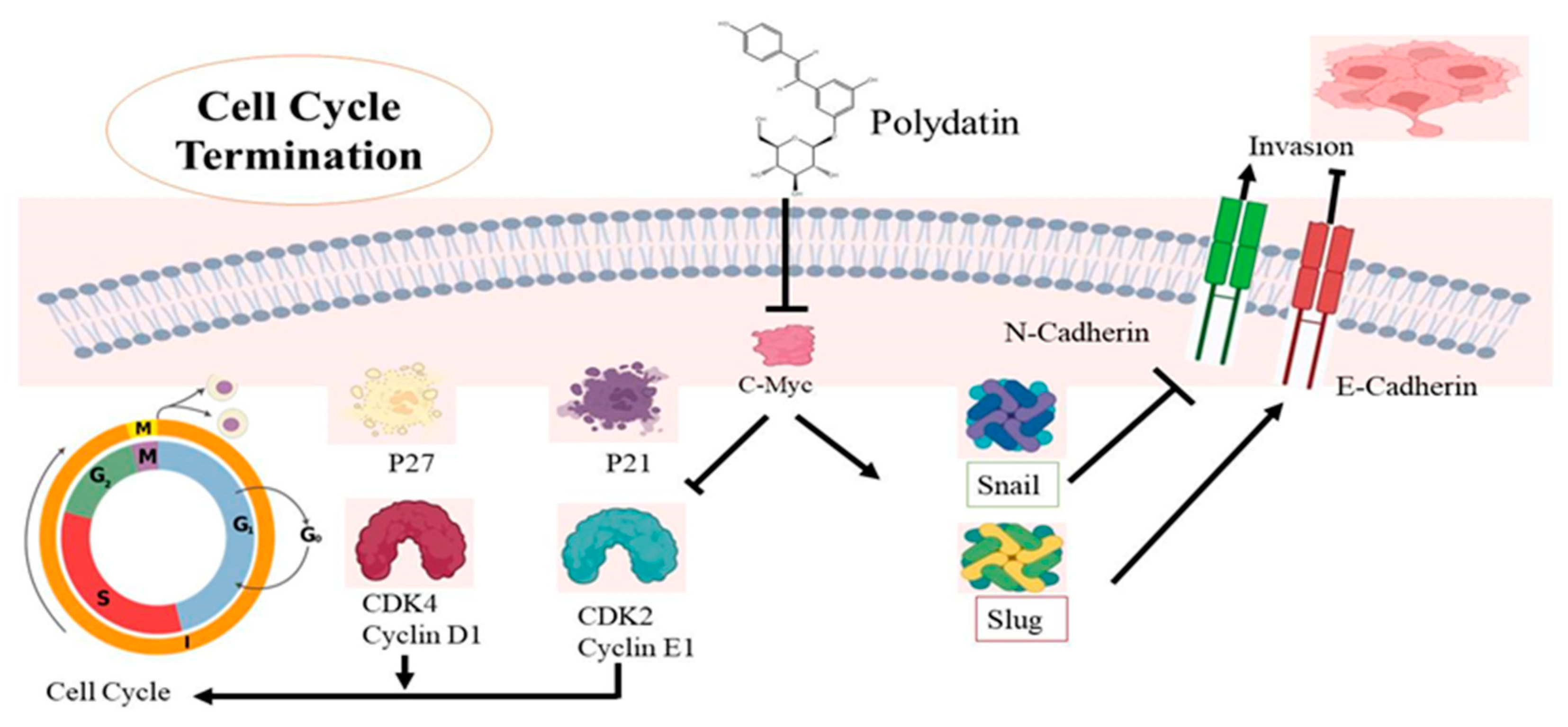Molecules 27 07175 g005 Molecules 27 07175 g005