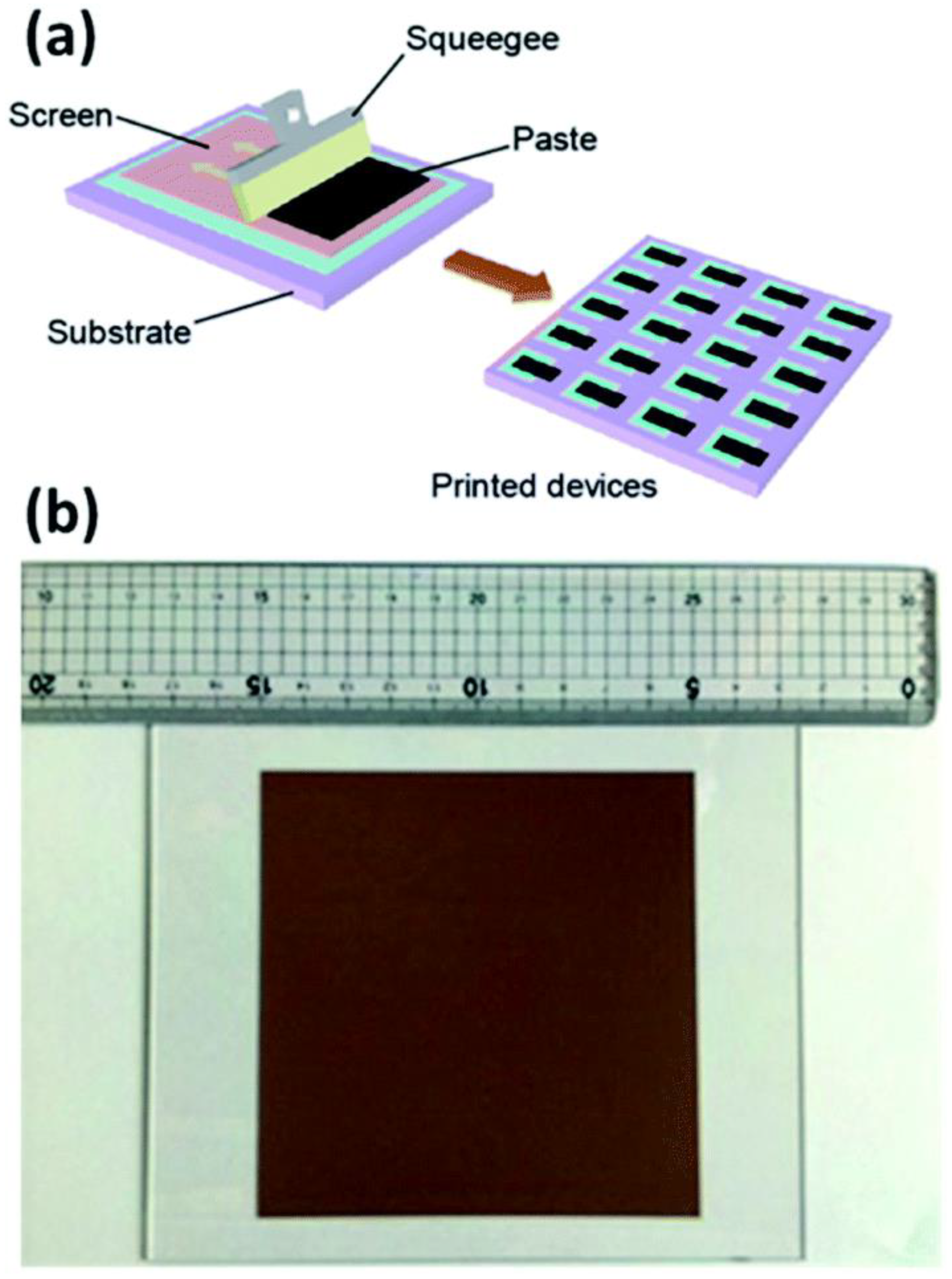 Molecules 27 07176 g005