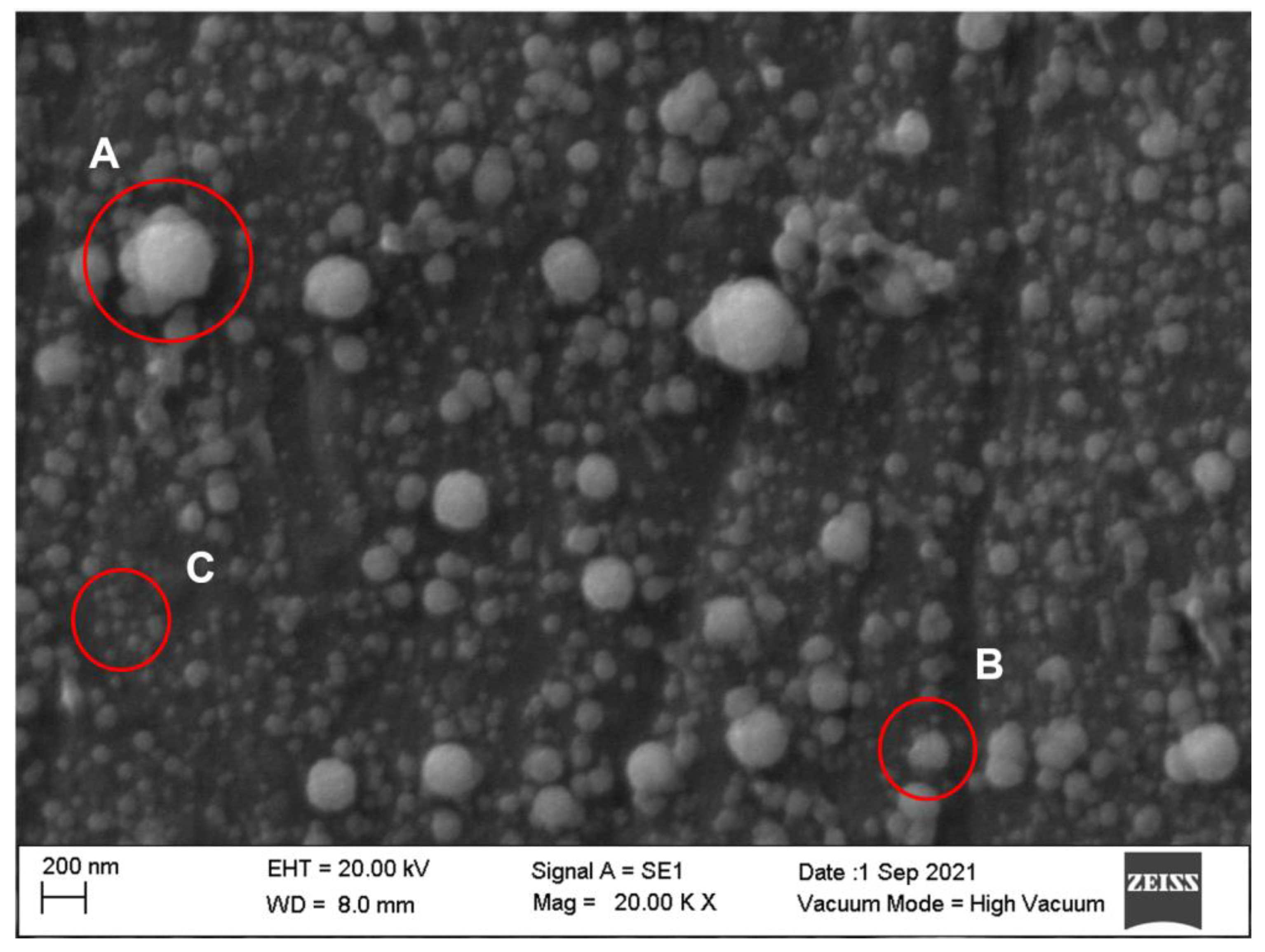 Molecules 27 07179 g001 Molecules 27 07179 g001