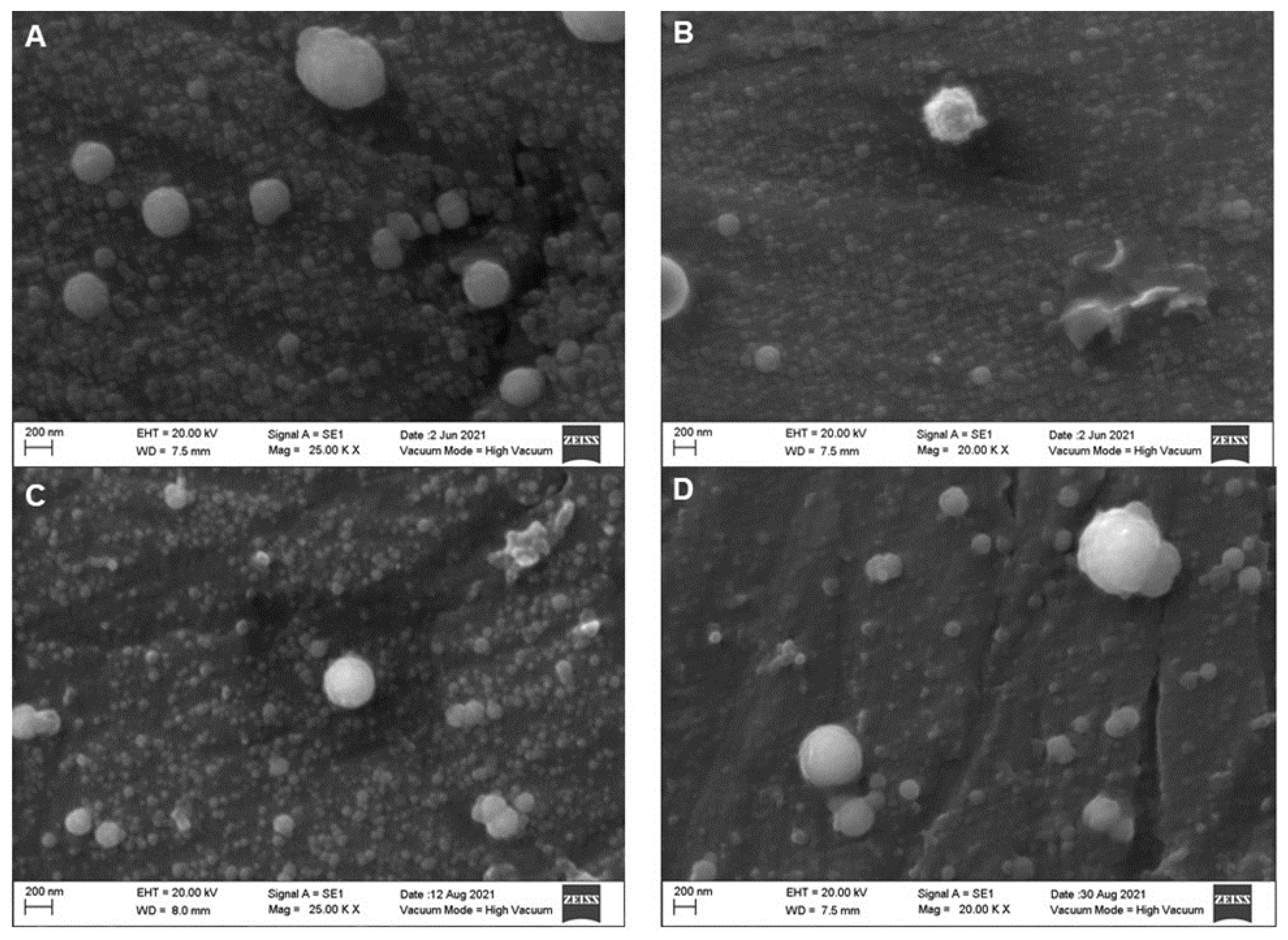 Molecules 27 07179 g002 Molecules 27 07179 g002
