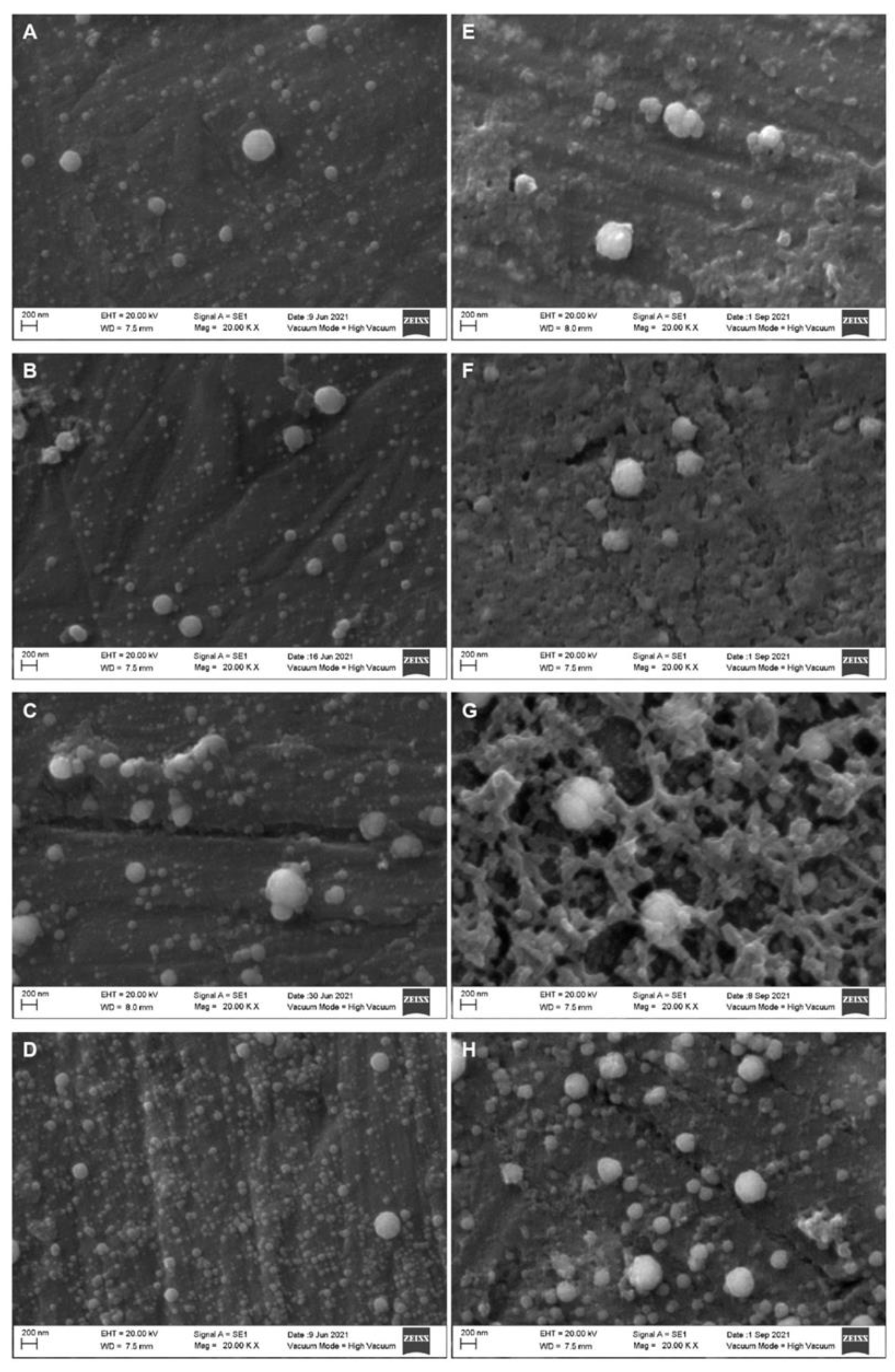 Molecules 27 07179 g004 Molecules 27 07179 g004