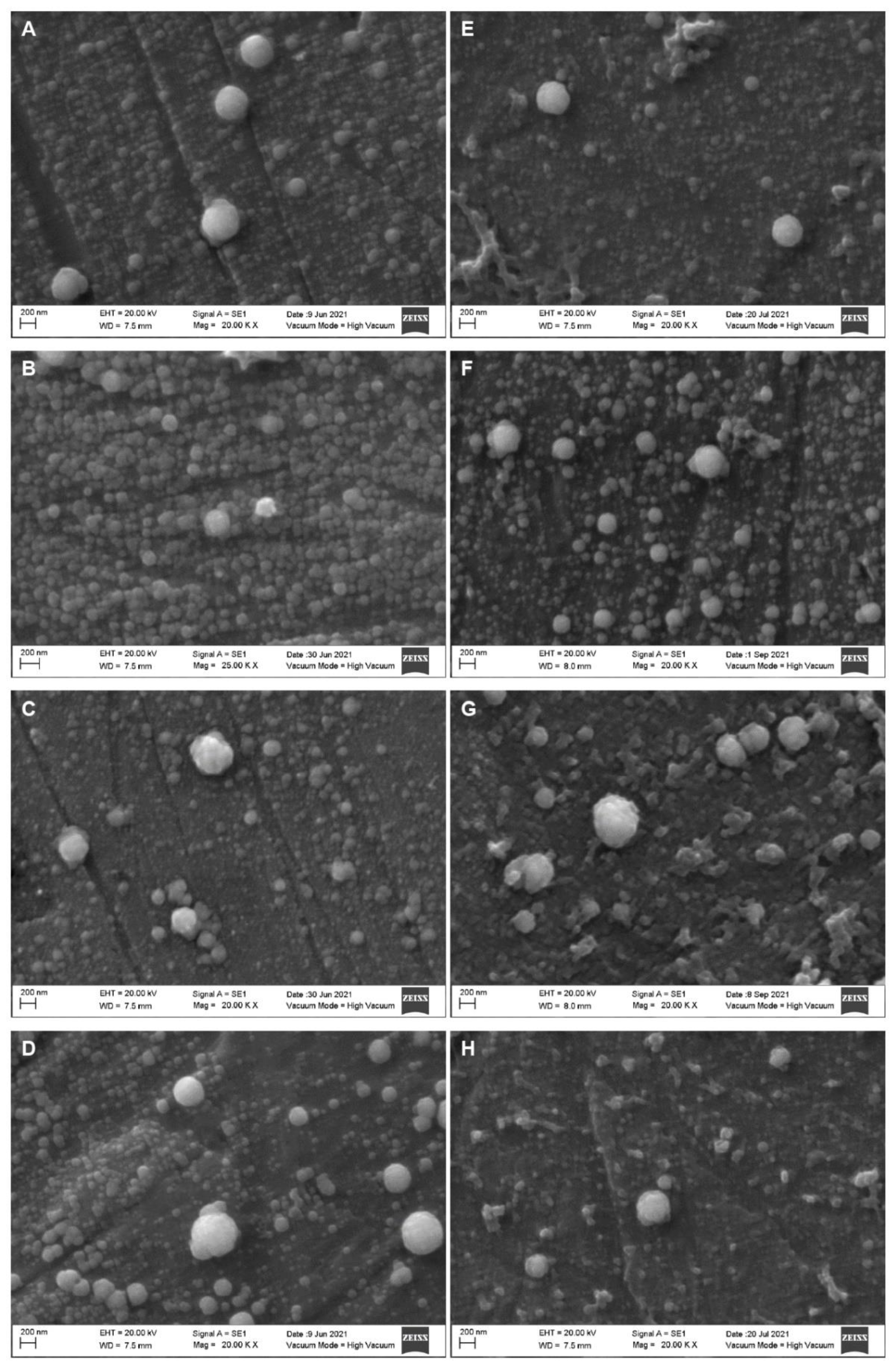 Molecules 27 07179 g005 Molecules 27 07179 g005