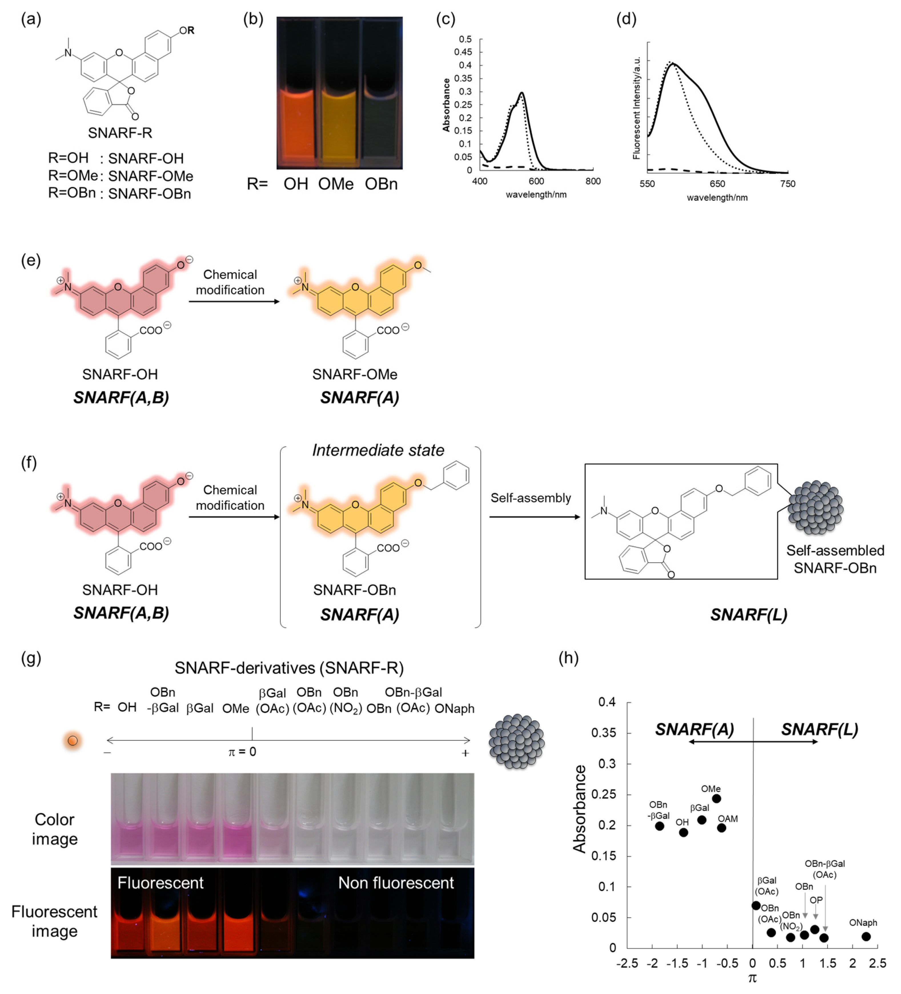 Molecules 27 07181 g003