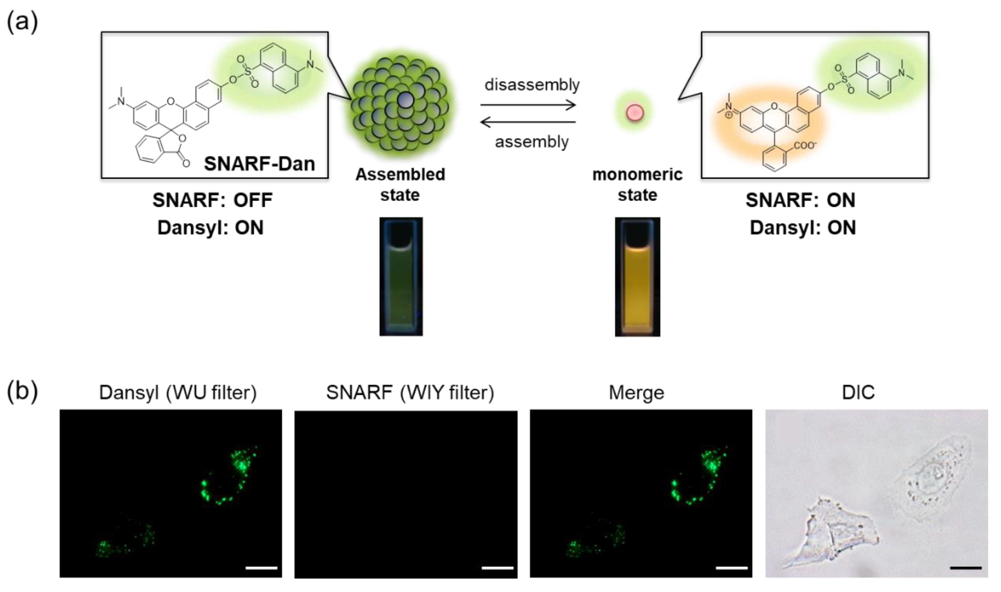 Molecules 27 07181 g007