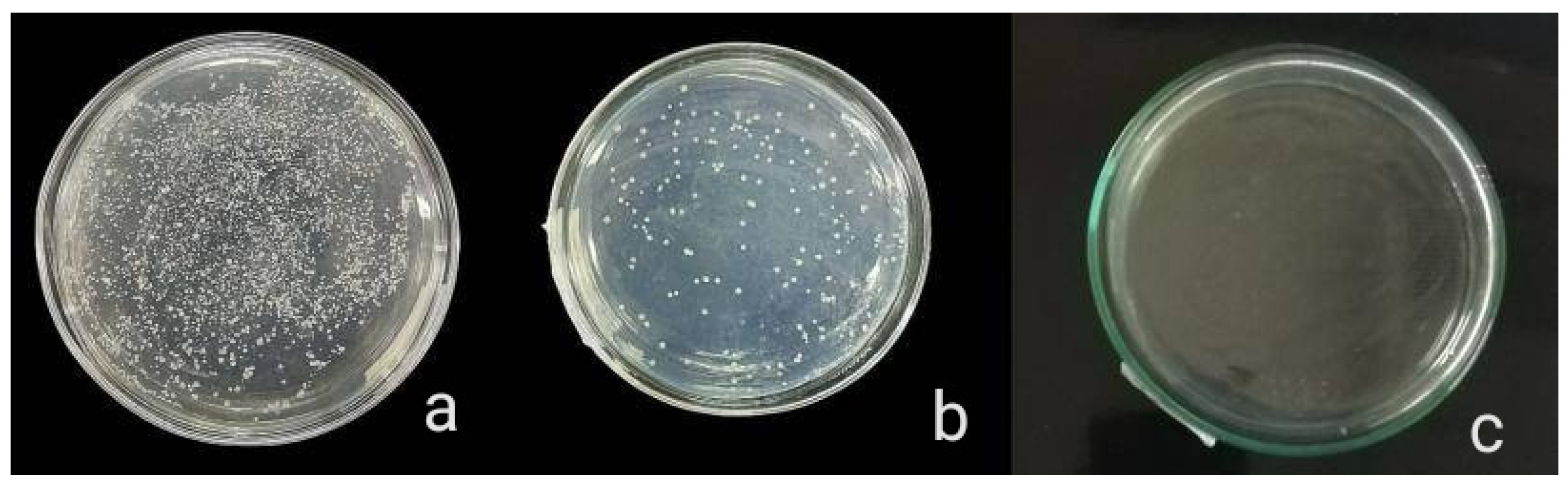 Molecules 27 07182 g007 Molecules 27 07182 g007