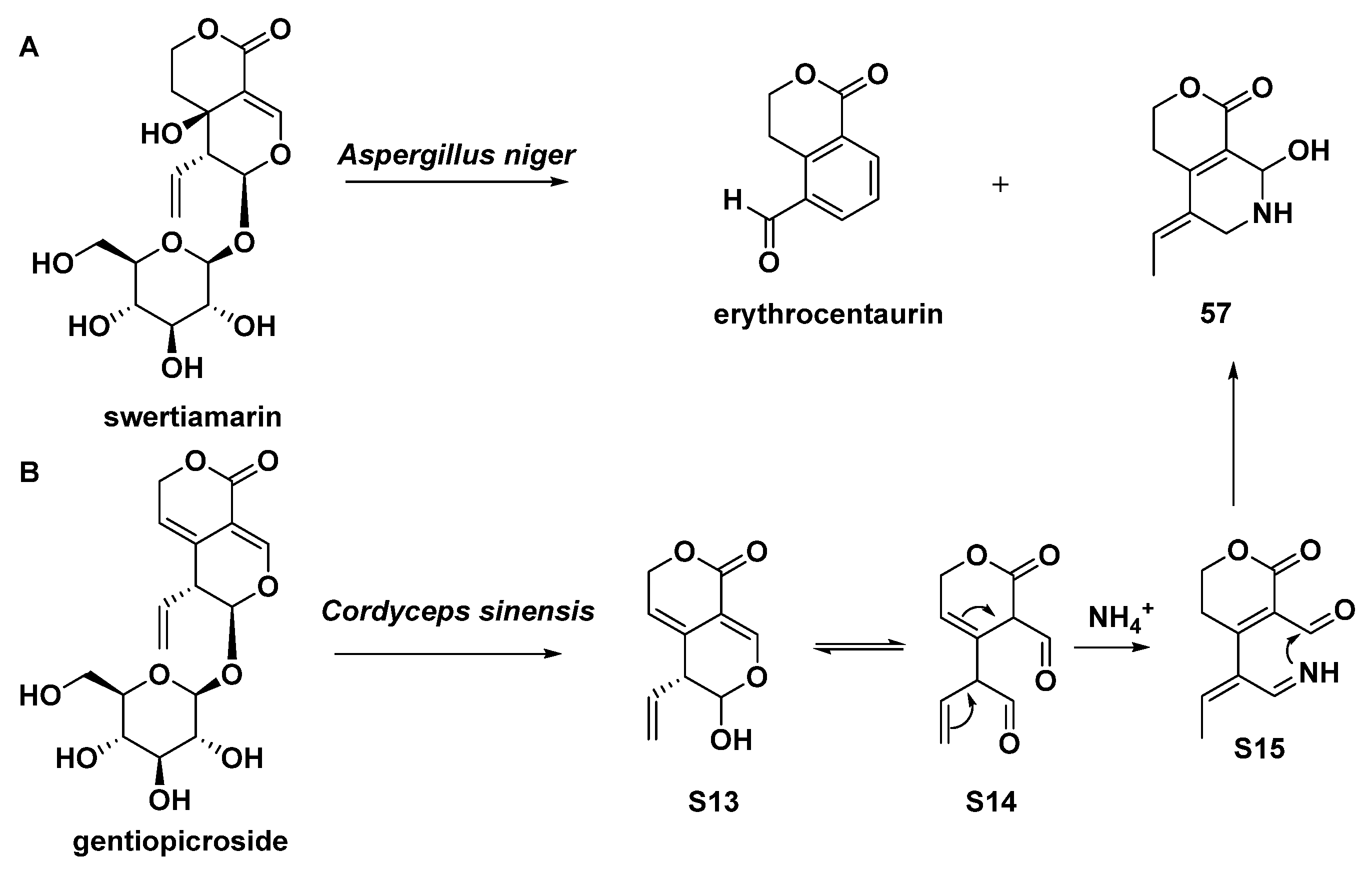 Molecules 27 07187 sch008