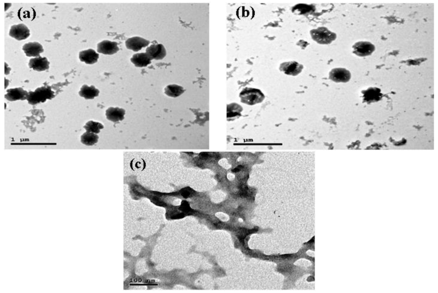 Molecules 27 07189 g004