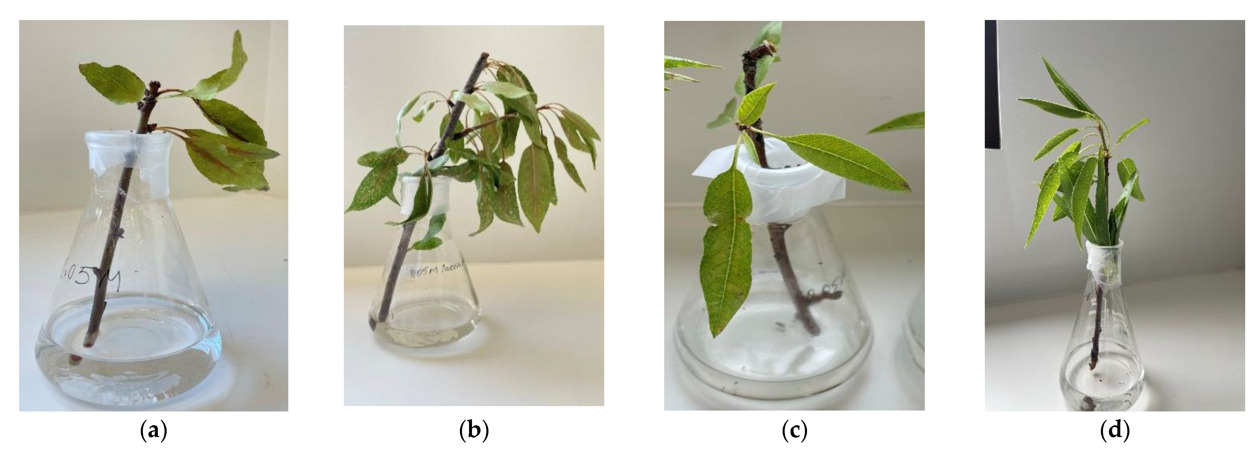 Molecules 27 07199 g011 Molecules 27 07199 g011