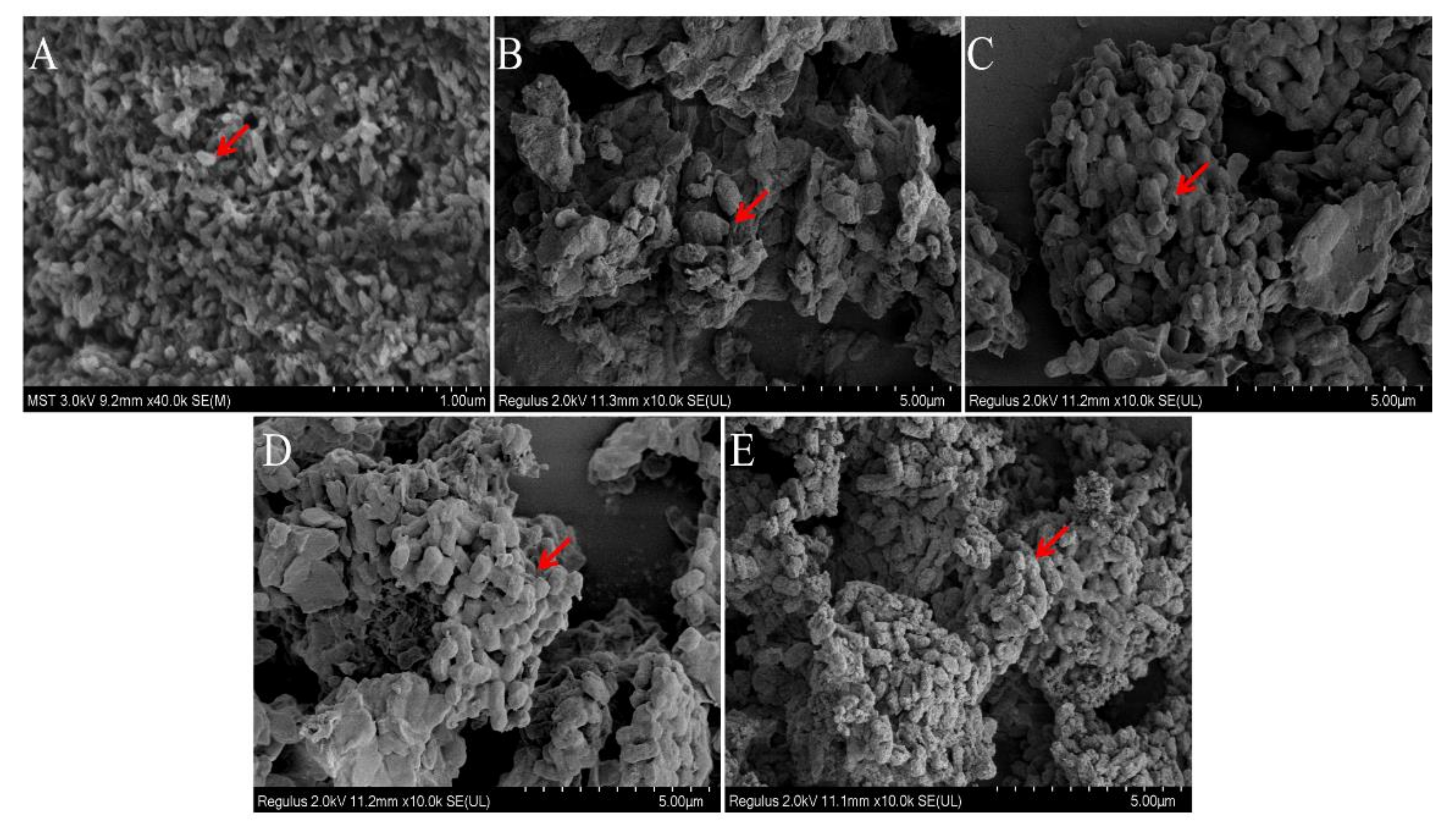 Molecules 27 07209 g009