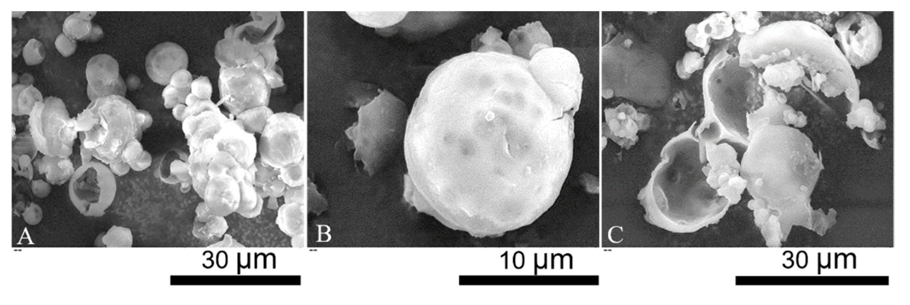 Molecules 27 07215 g002 Molecules 27 07215 g002