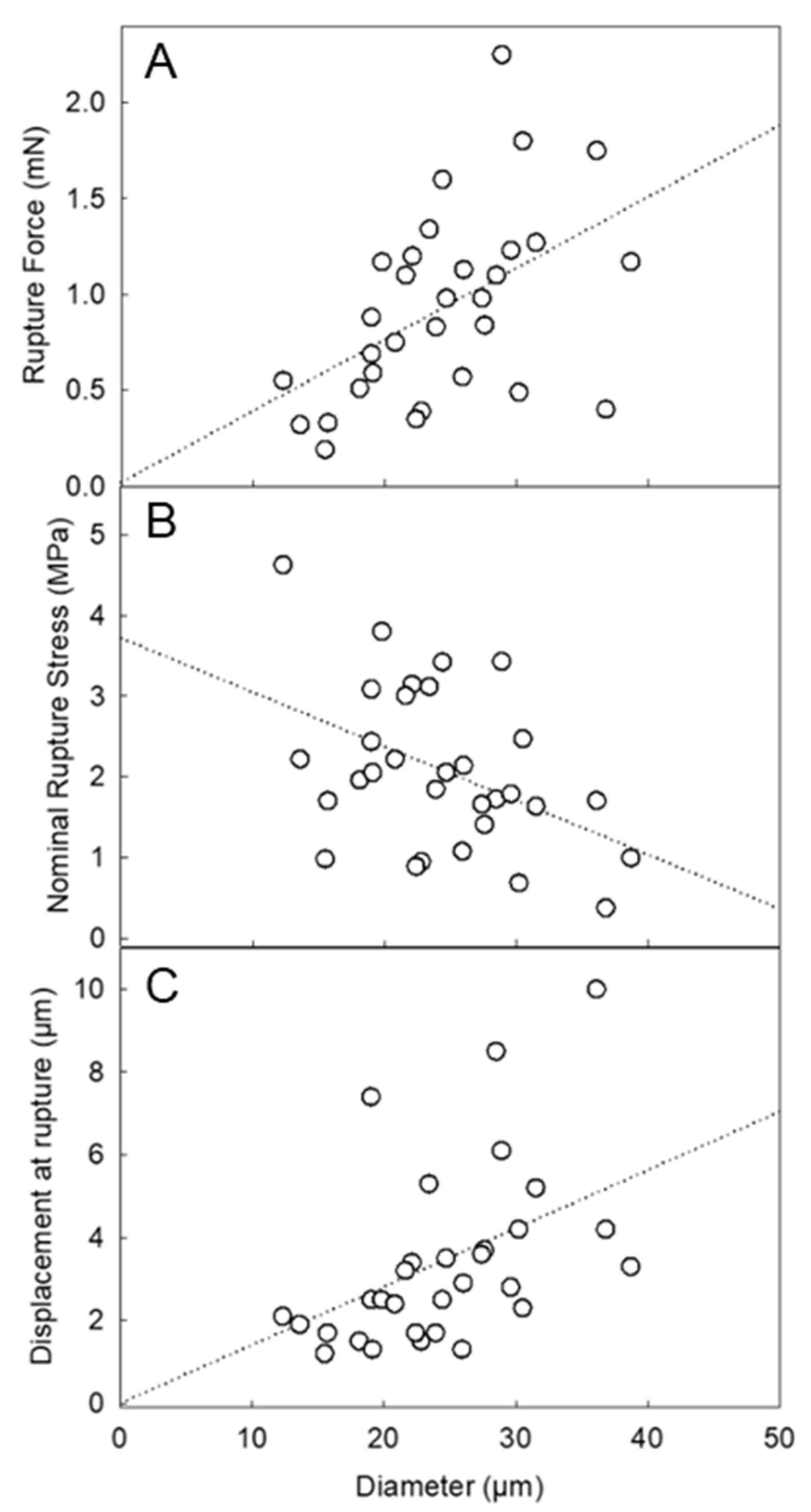 Molecules 27 07215 g004 Molecules 27 07215 g004