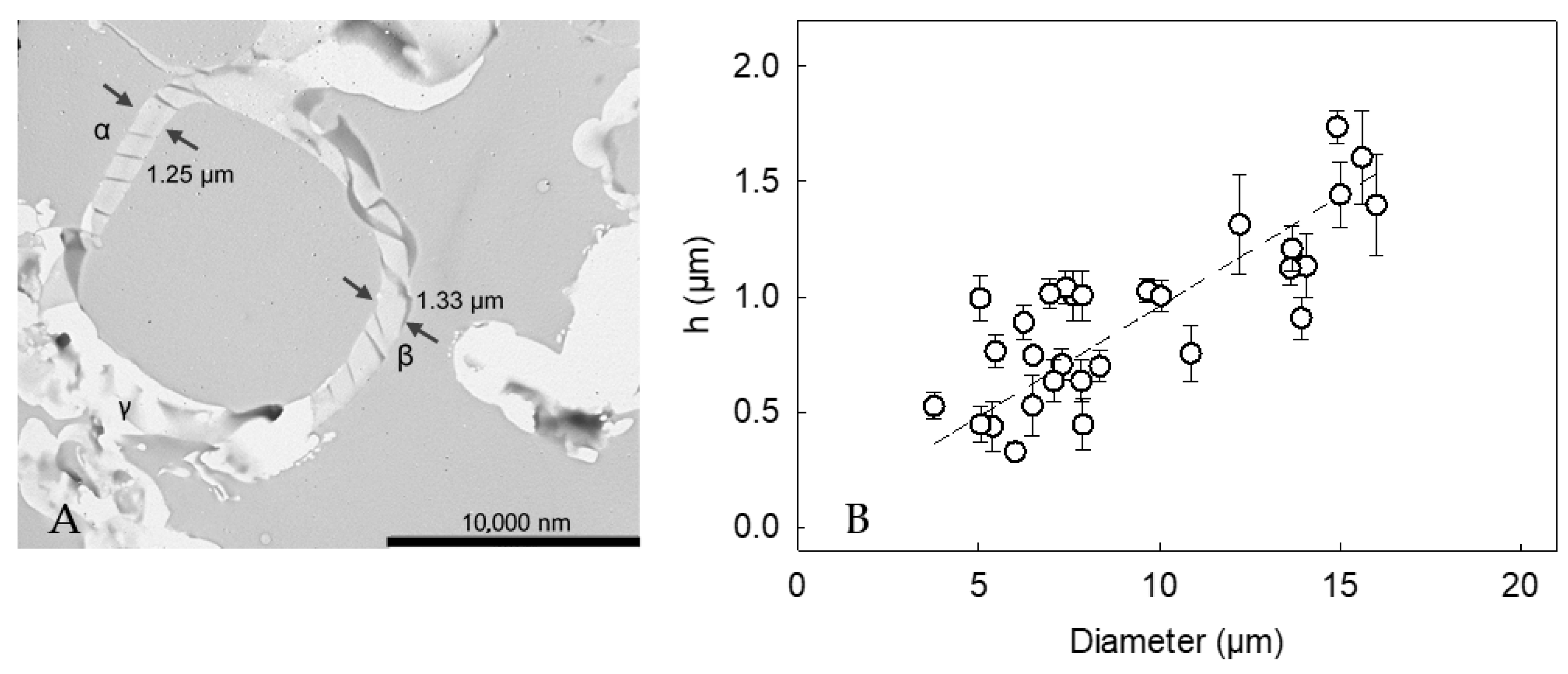 Molecules 27 07215 g005 Molecules 27 07215 g005