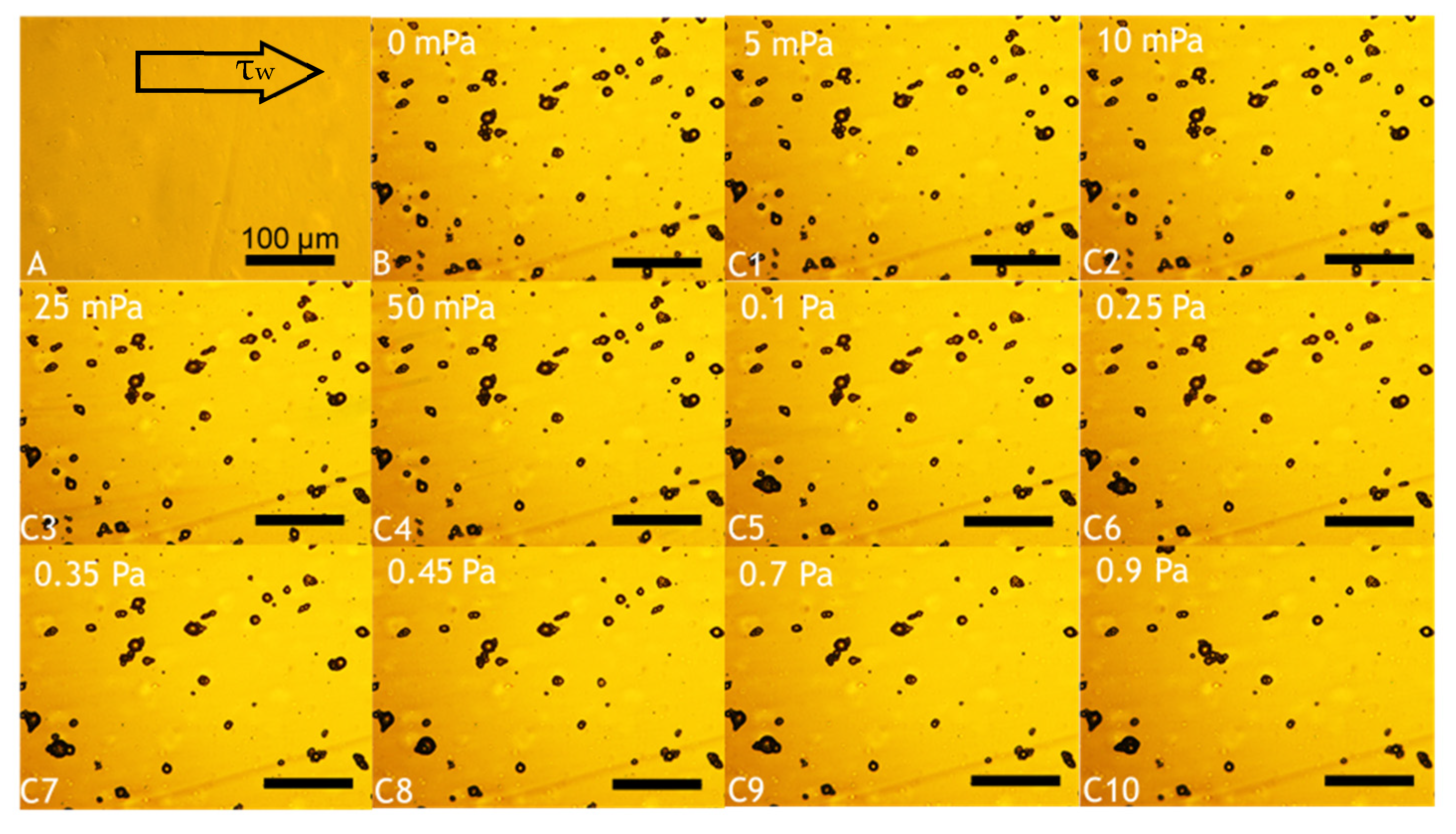 Molecules 27 07215 g007 Molecules 27 07215 g007