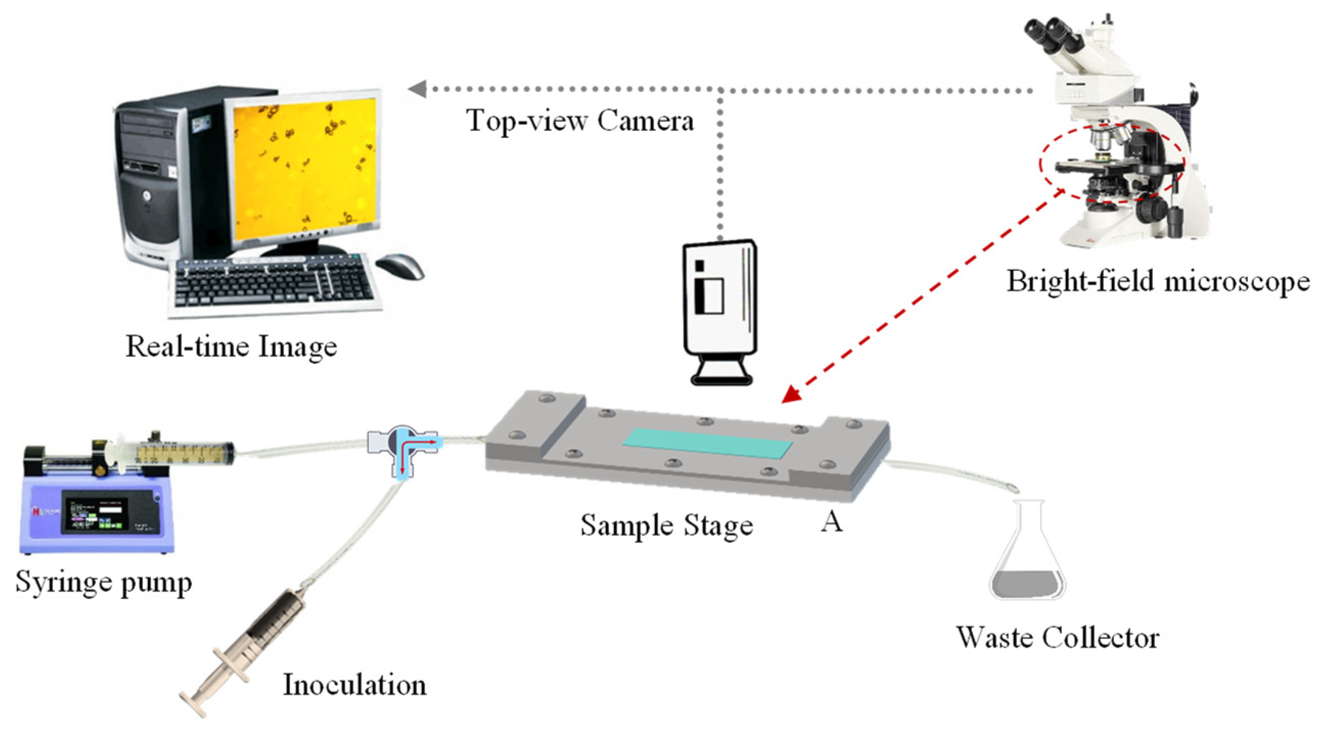 Molecules 27 07215 g009 Molecules 27 07215 g009