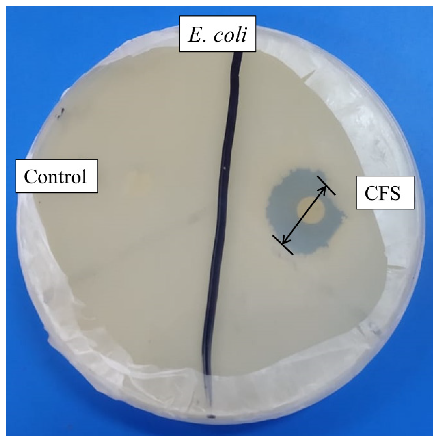 Molecules 27 07220 g001