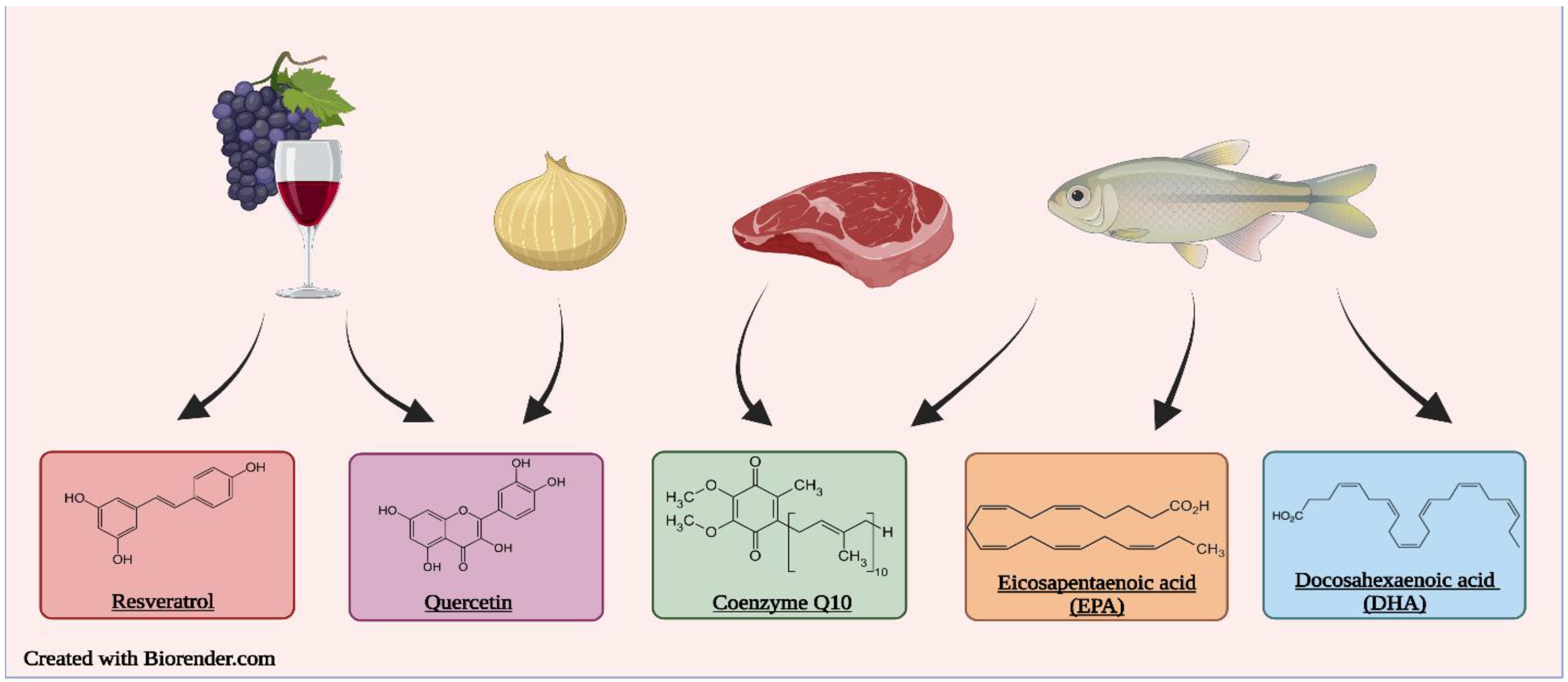 Molecules Free Full Text Therapeutic Potential Of Select Dietary molecules-free-full-text-therapeutic-potential-of-select-dietary