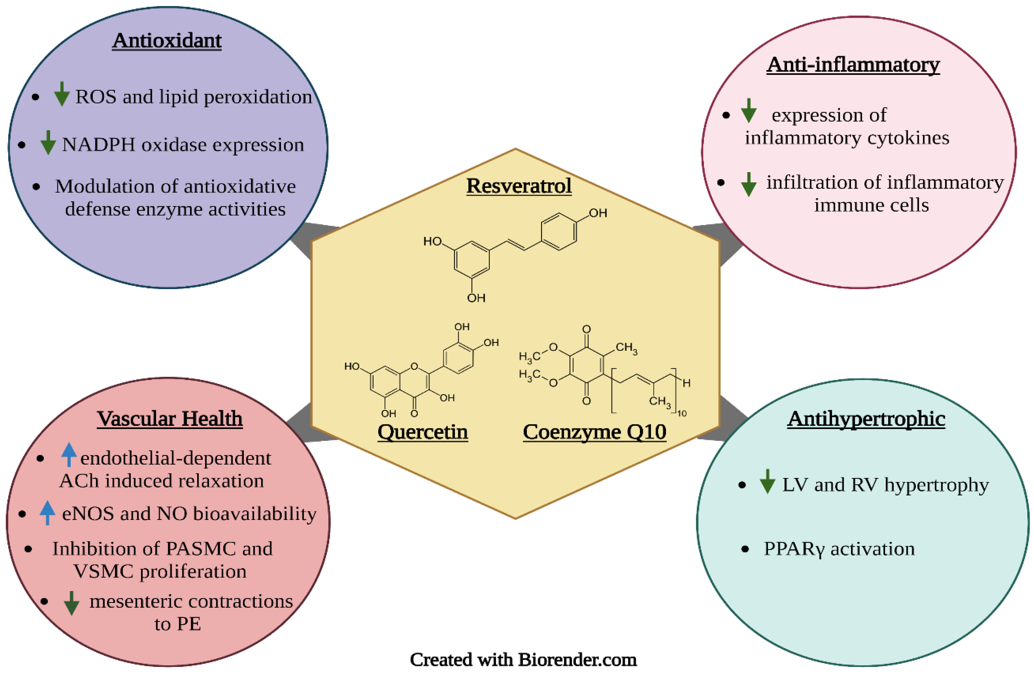 Molecules 27 07222 g002