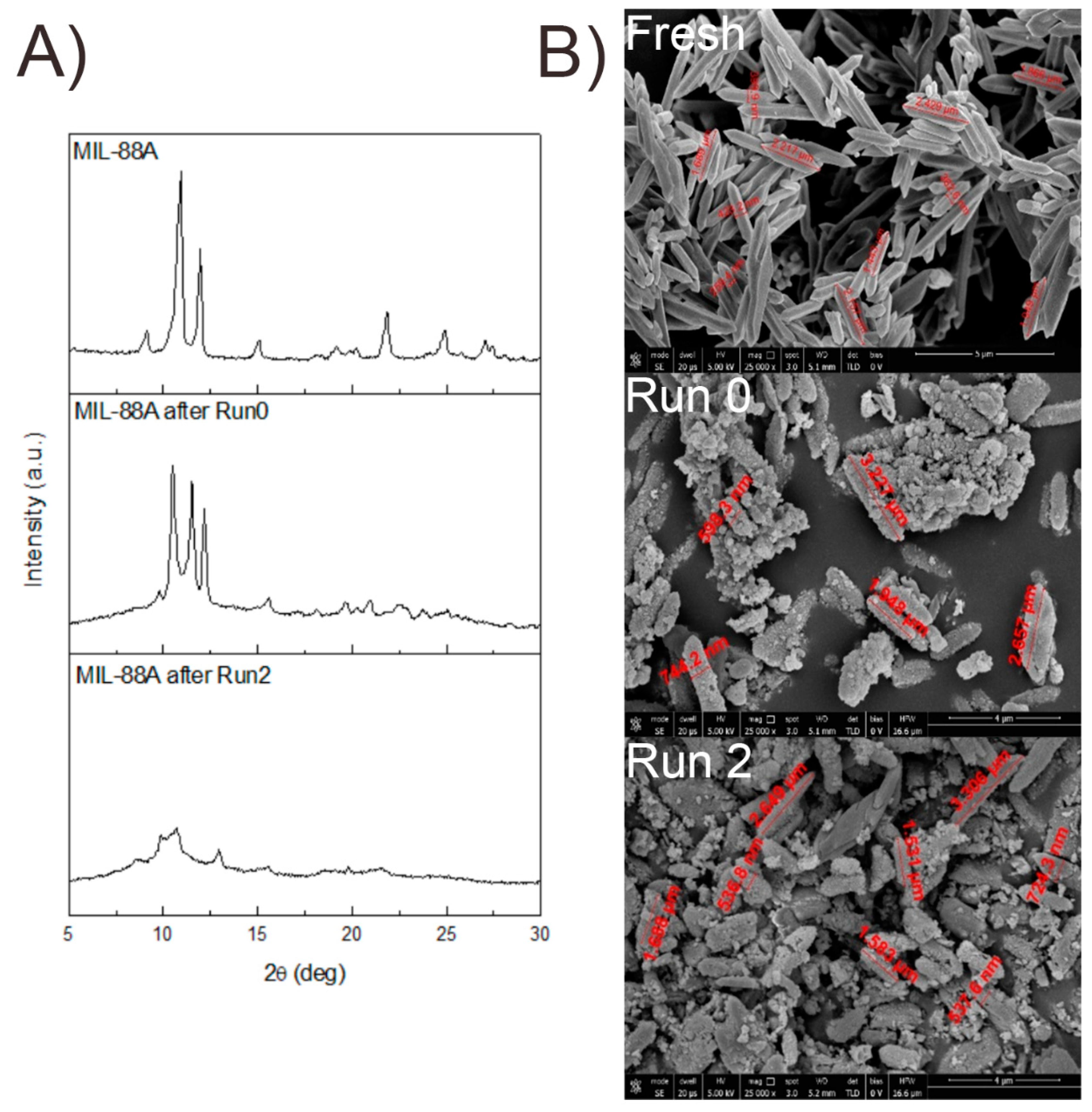 Molecules 27 07229 g005 Molecules 27 07229 g005