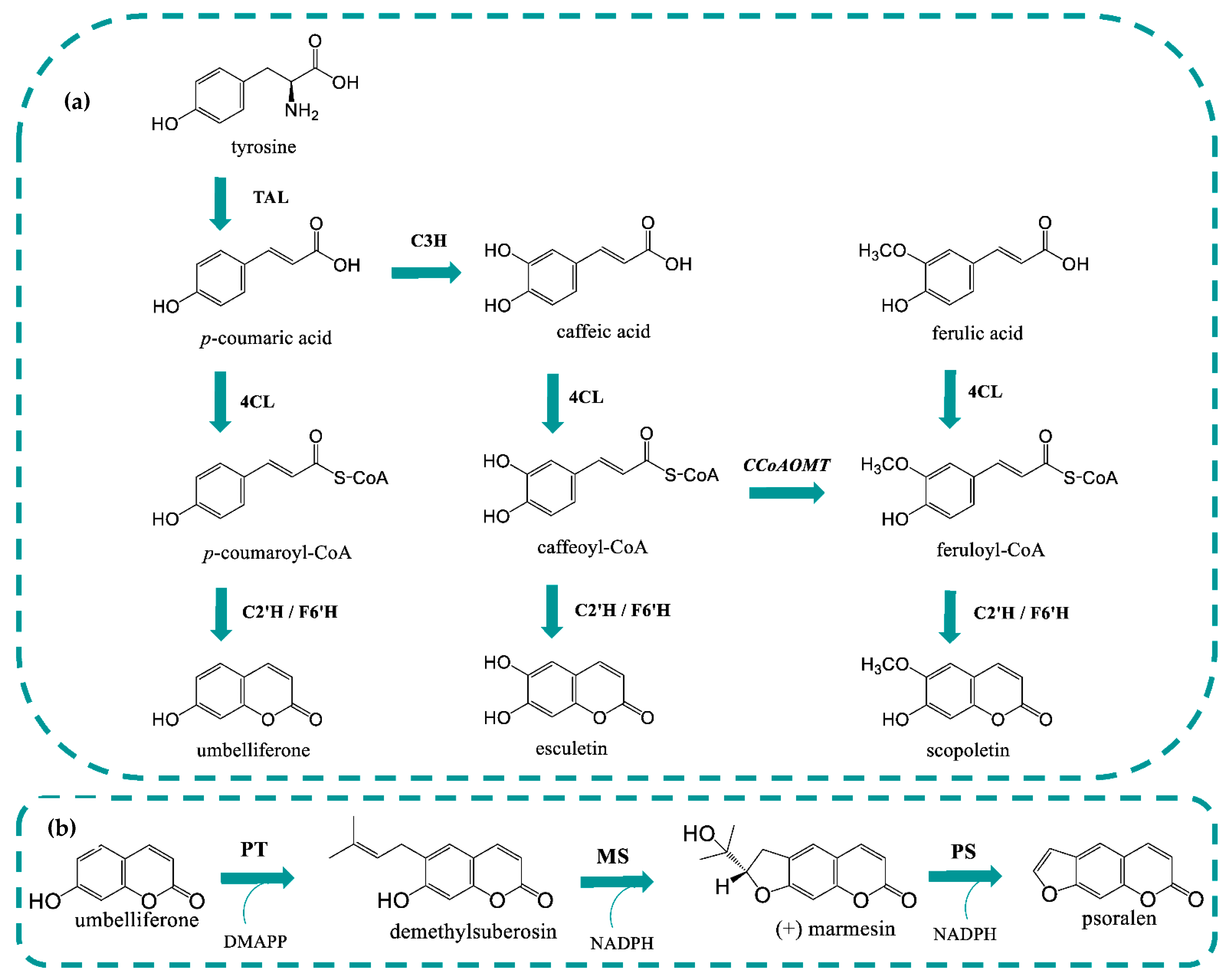 Molecules 27 07230 g001 Molecules 27 07230 g001