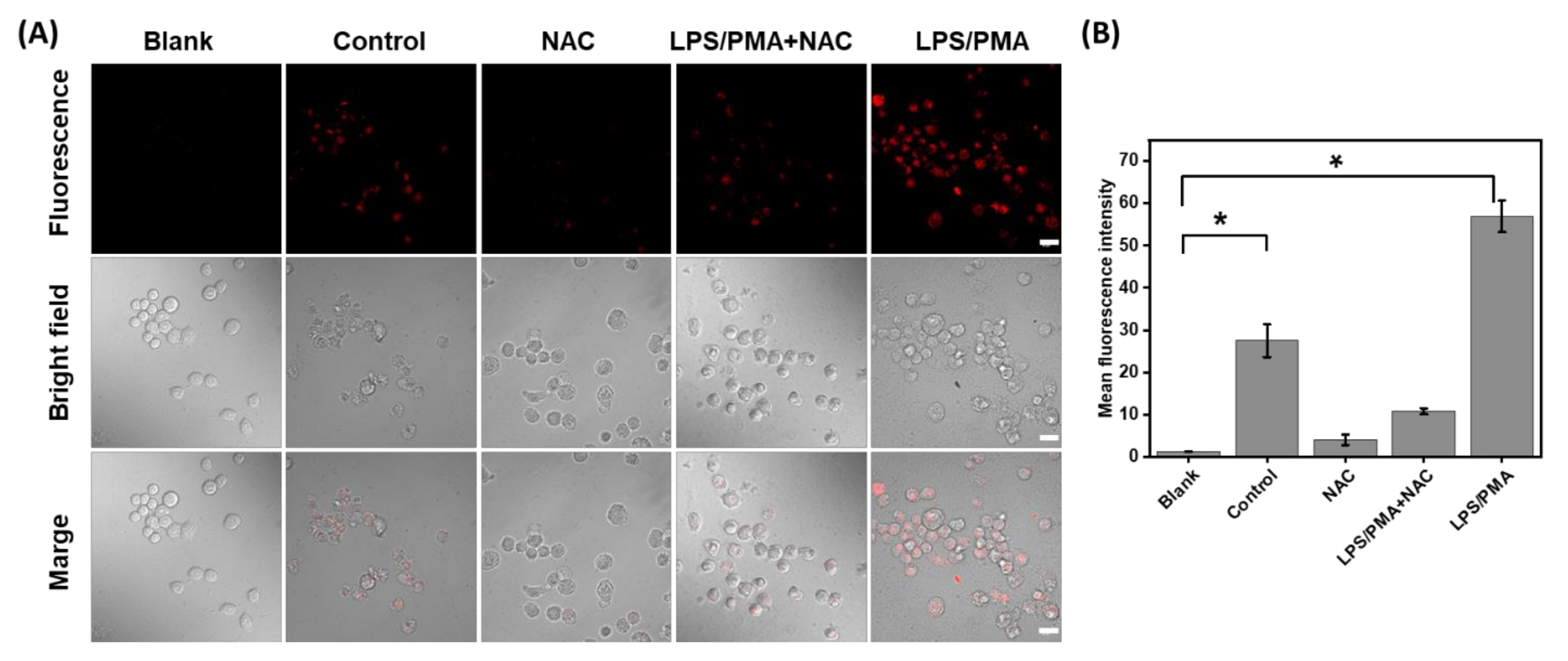 Molecules 27 07237 g004
