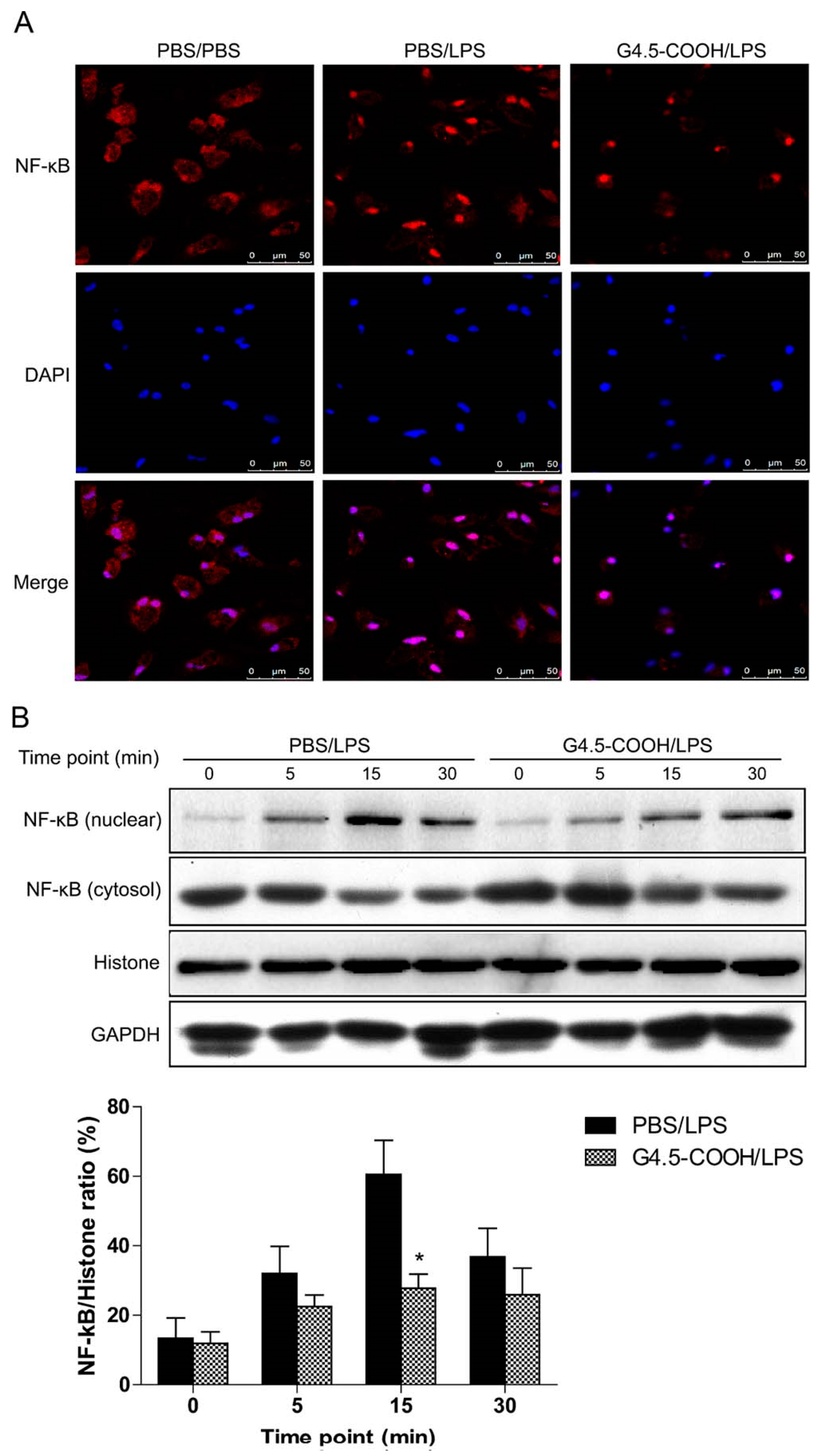Molecules 27 07238 g002 Molecules 27 07238 g002
