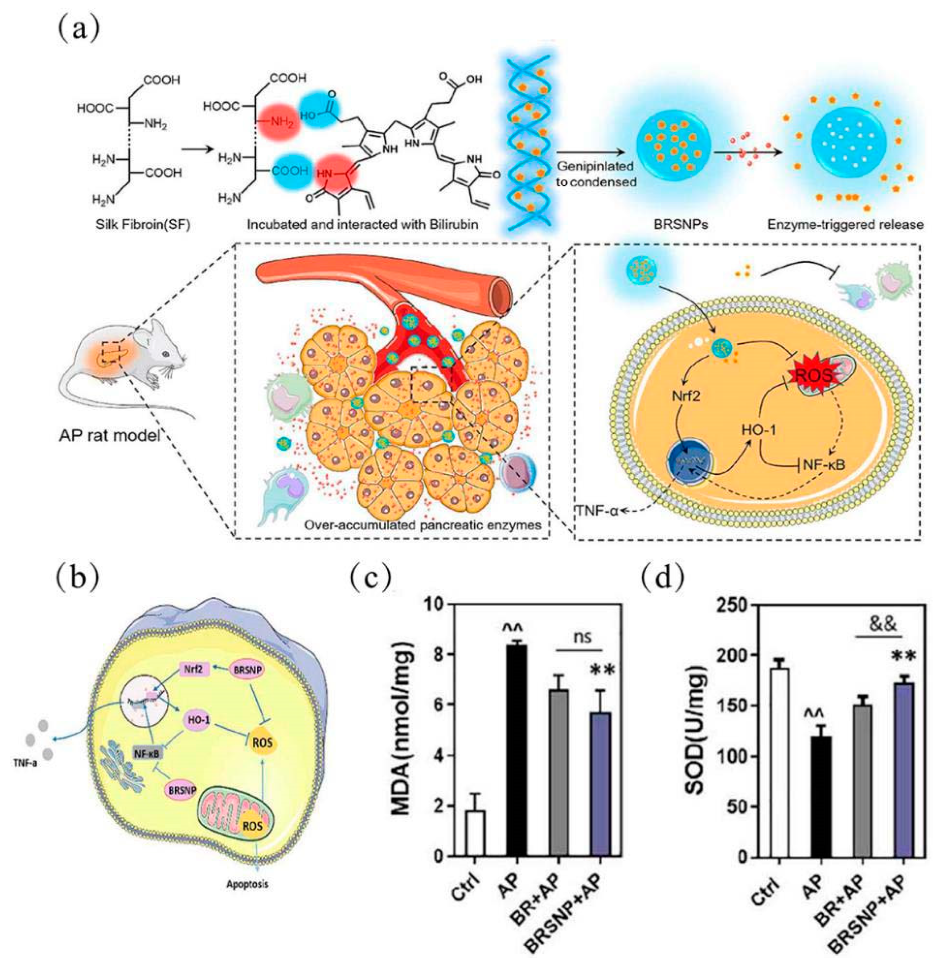 Molecules 27 07238 g004 Molecules 27 07238 g004