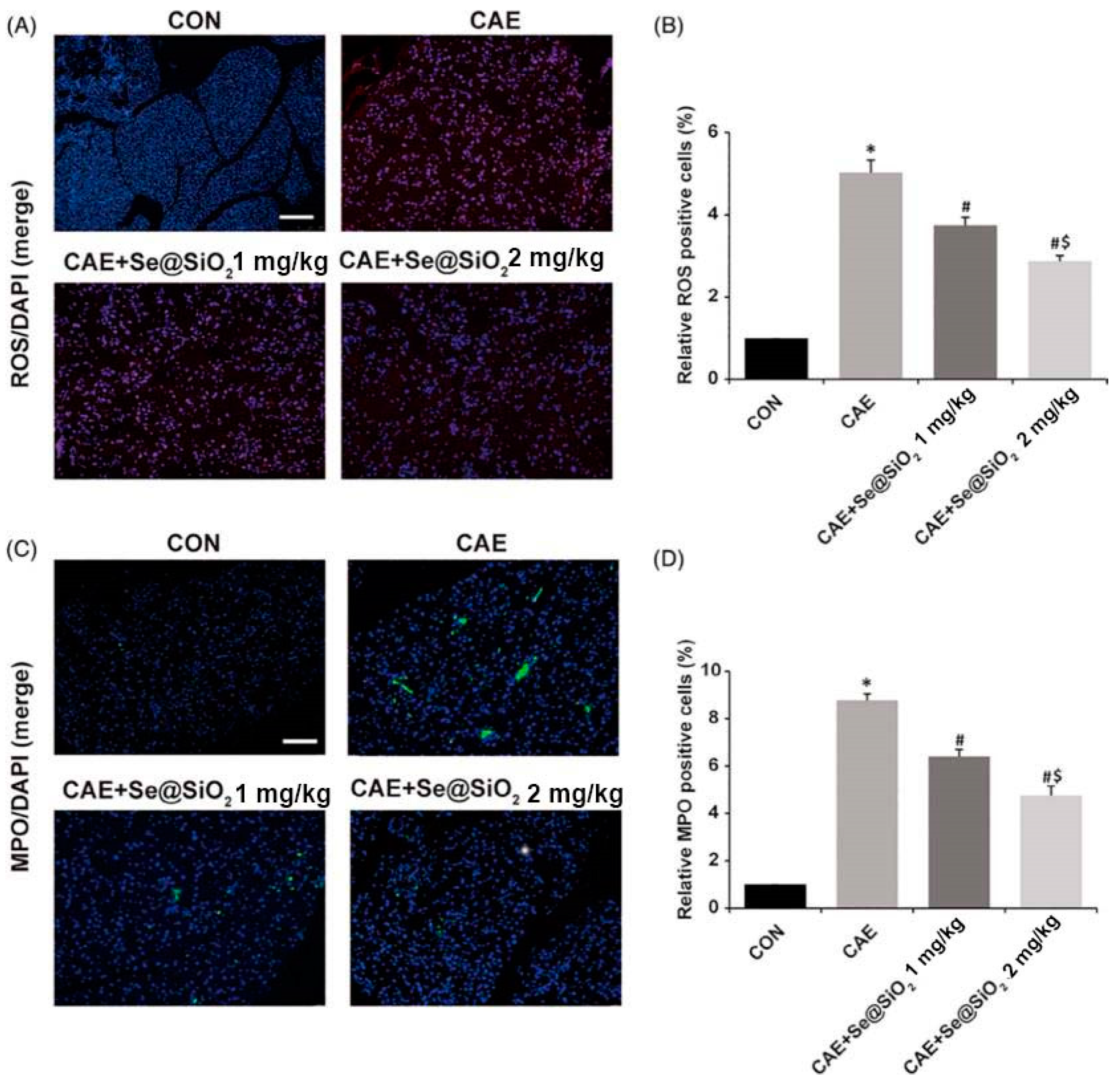 Molecules 27 07238 g006 Molecules 27 07238 g006
