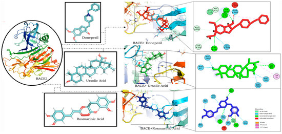 Multitargeted Molecular Docking and Dynamic Simulation Studies of ...