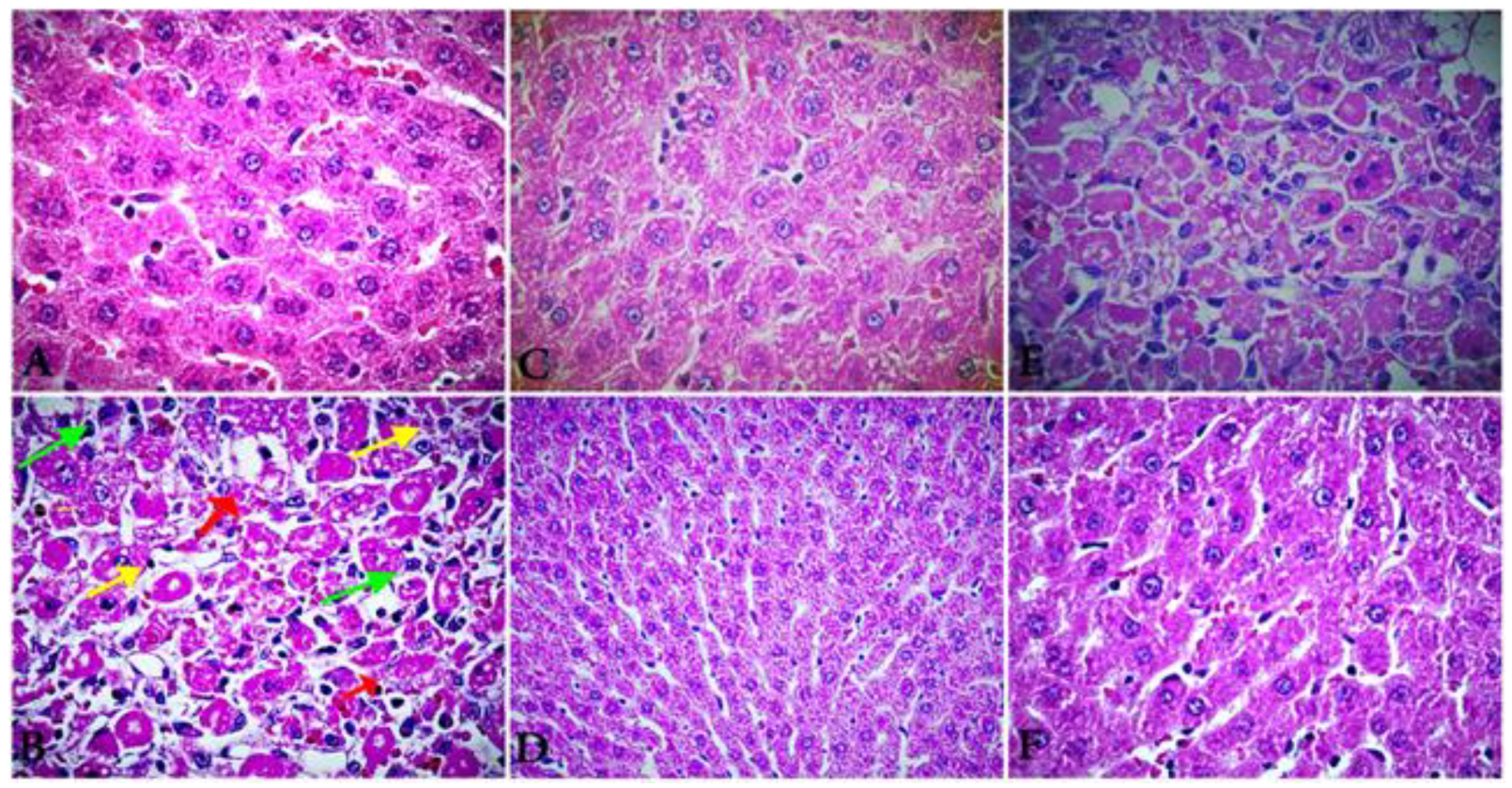 Molecules 27 07242 g004